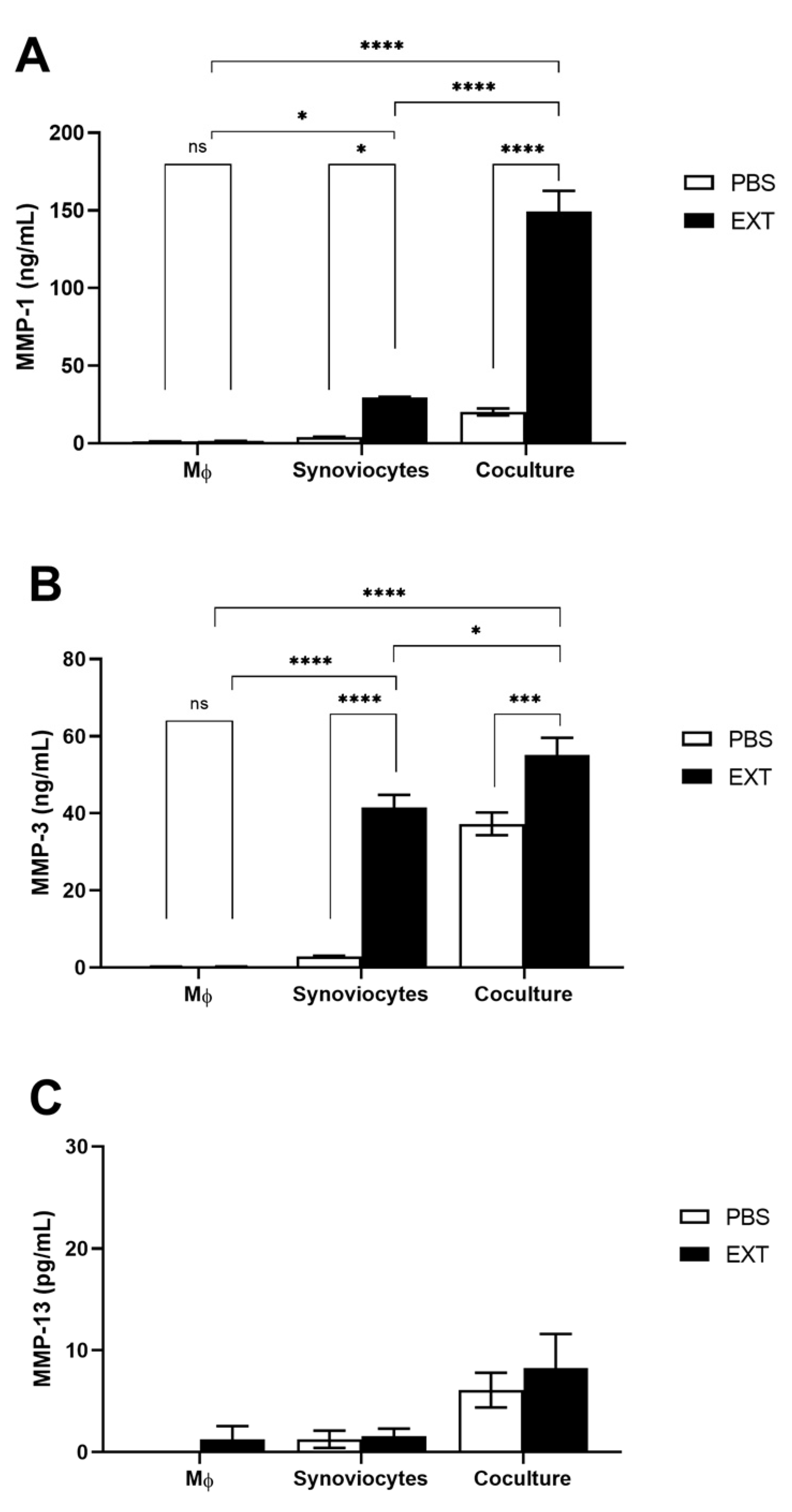 Ijms 25 13149 g004 Ijms 25 13149 g004