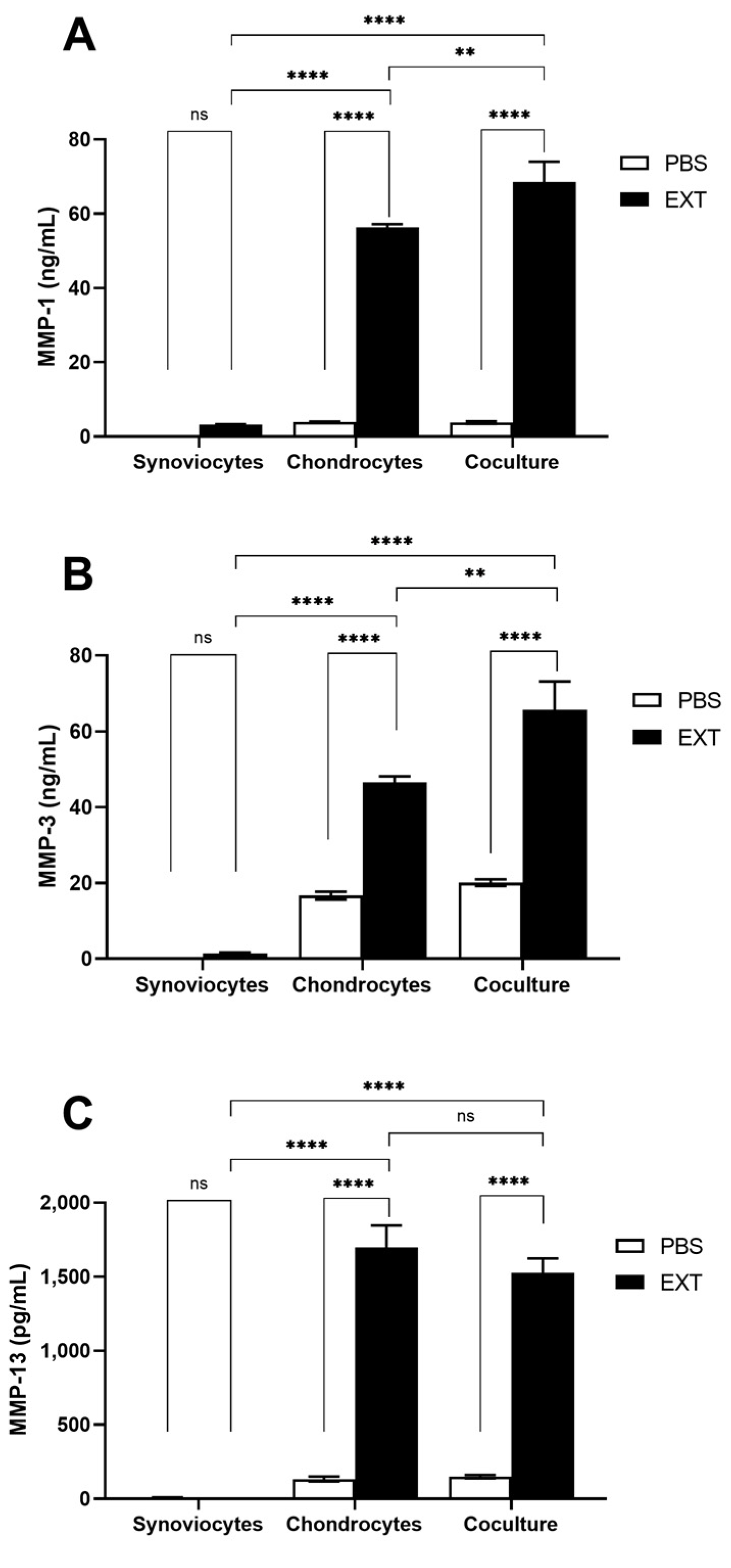 Ijms 25 13149 g006 Ijms 25 13149 g006