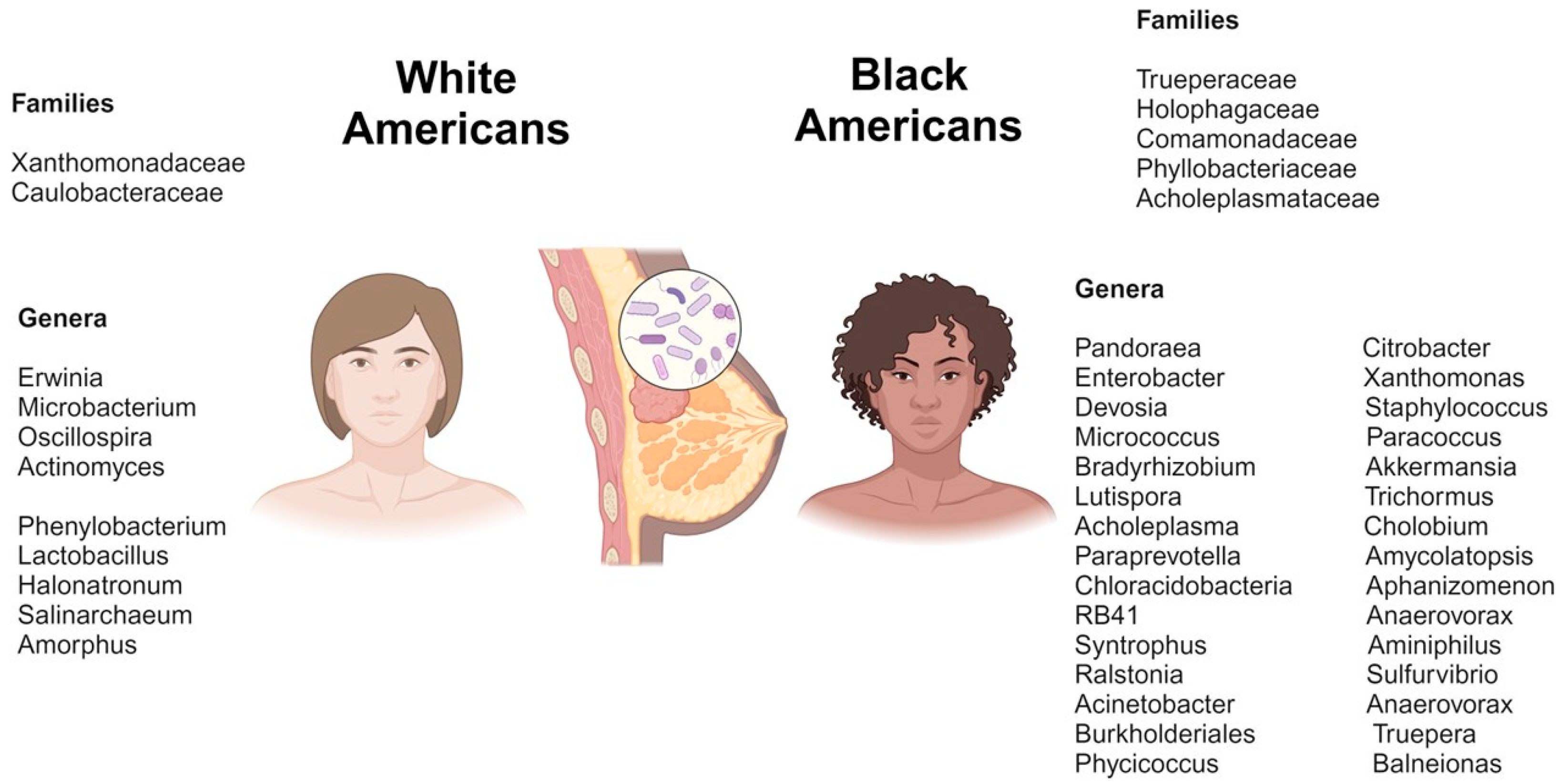 The Genomic and Biologic Landscapes of Breast Cancer and