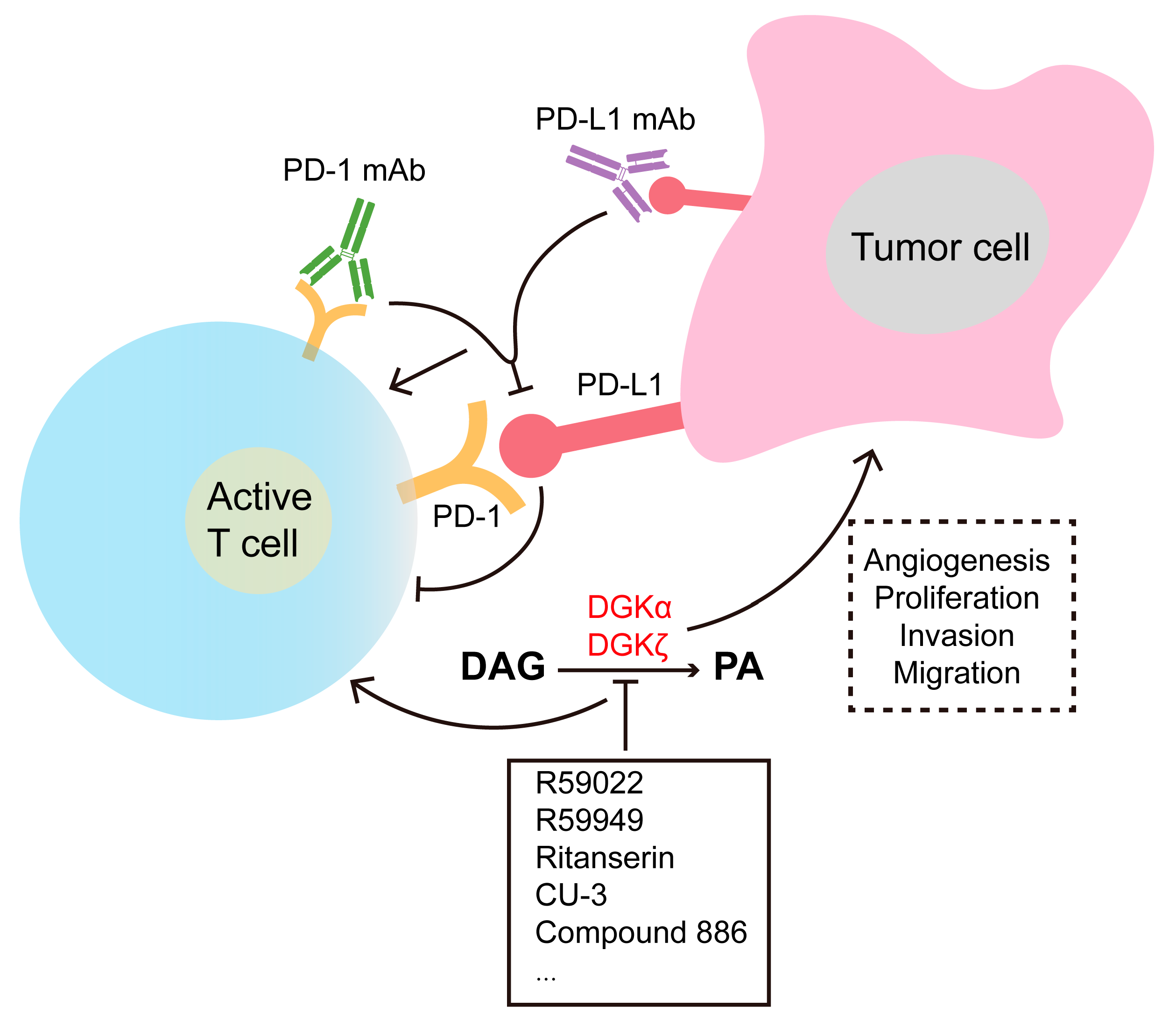 Ijms 25 13207 g004 Ijms 25 13207 g004