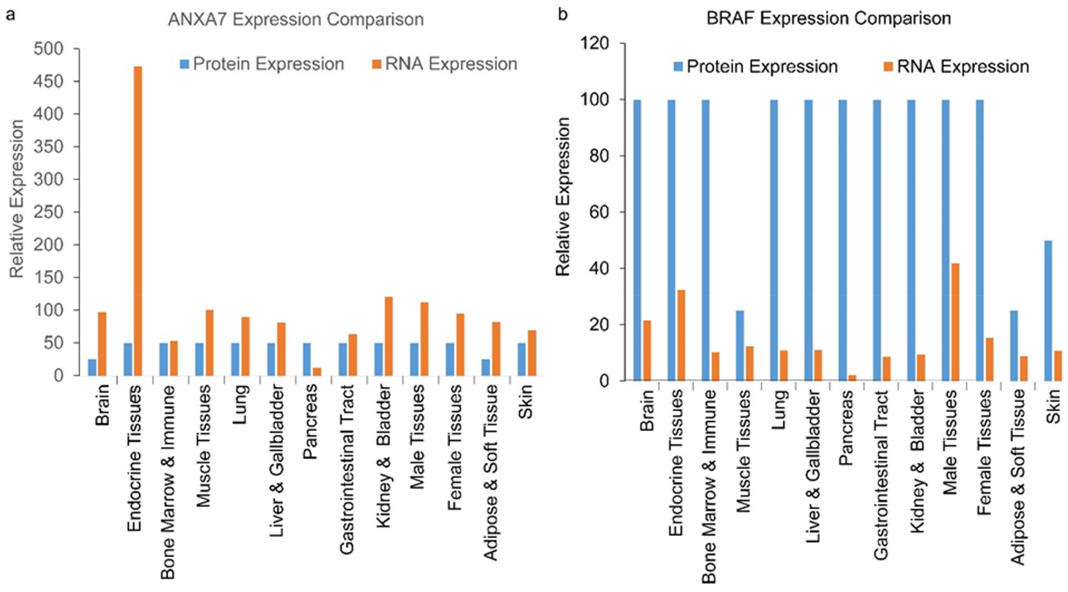 Ijms 25 13217 g001a Ijms 25 13217 g001a