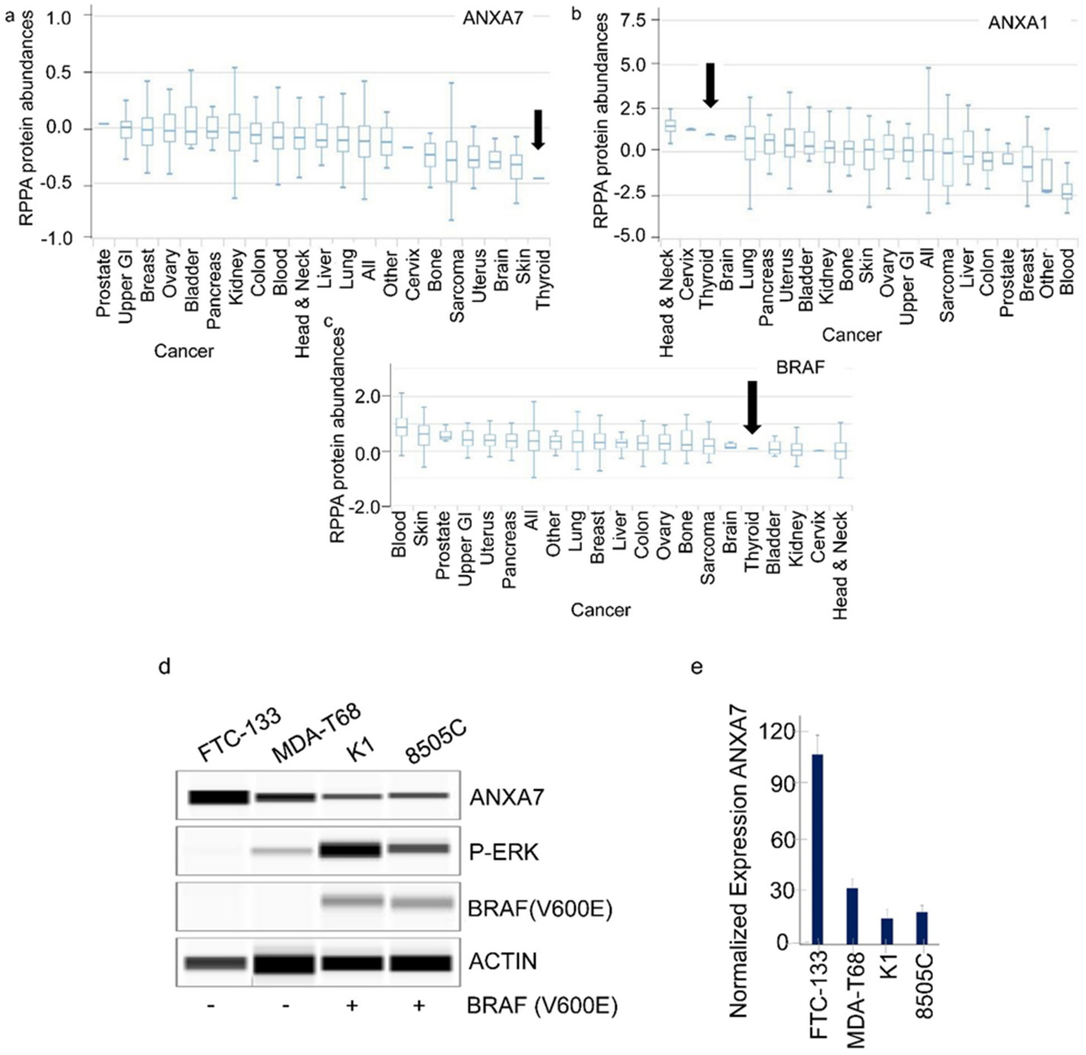 Ijms 25 13217 g002 Ijms 25 13217 g002