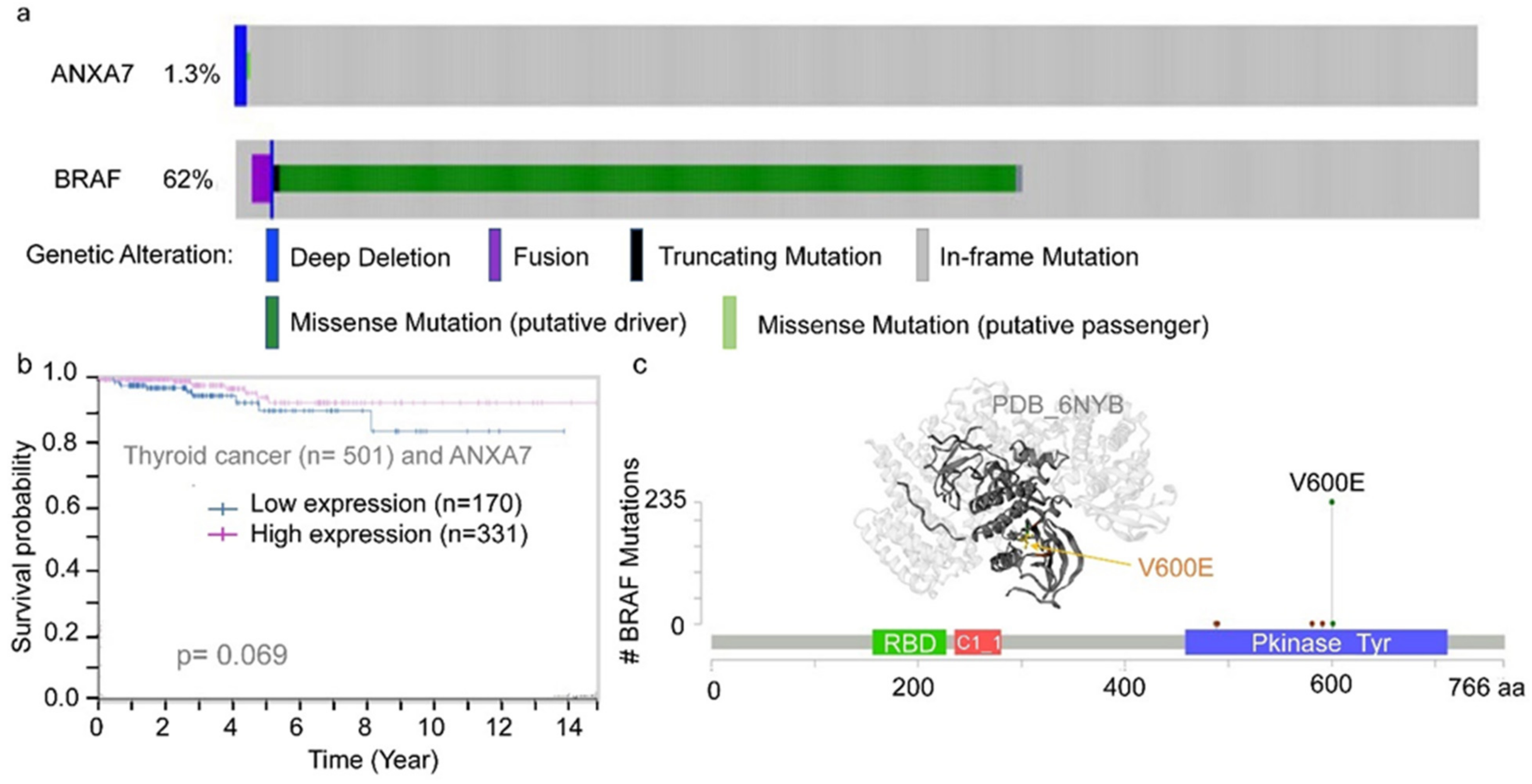 Ijms 25 13217 g003 Ijms 25 13217 g003