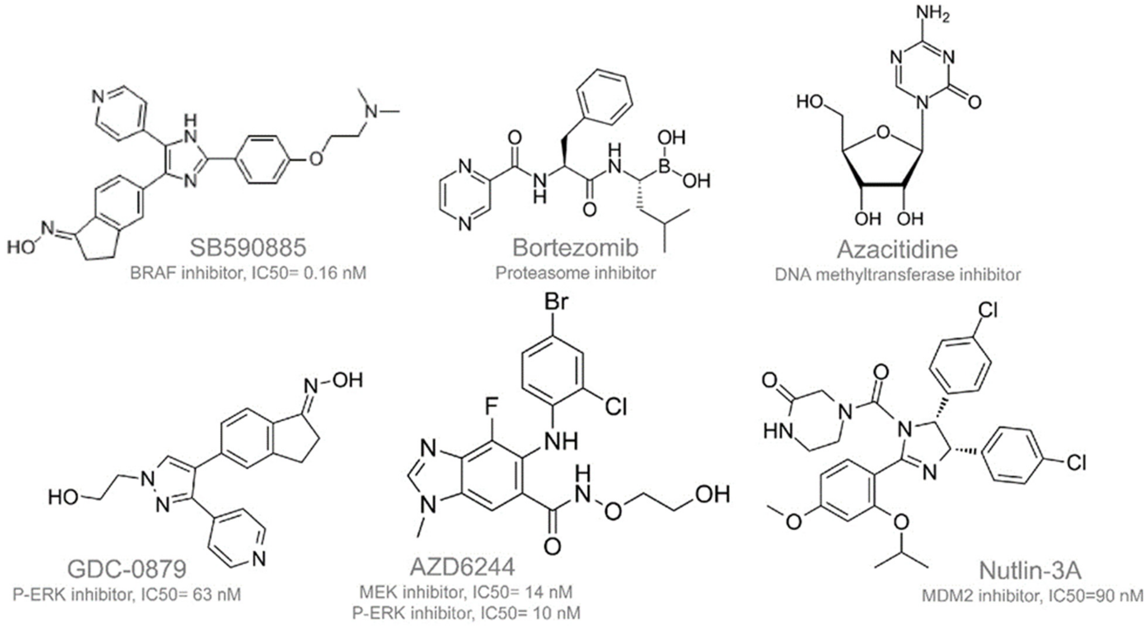 Ijms 25 13217 g004 Ijms 25 13217 g004
