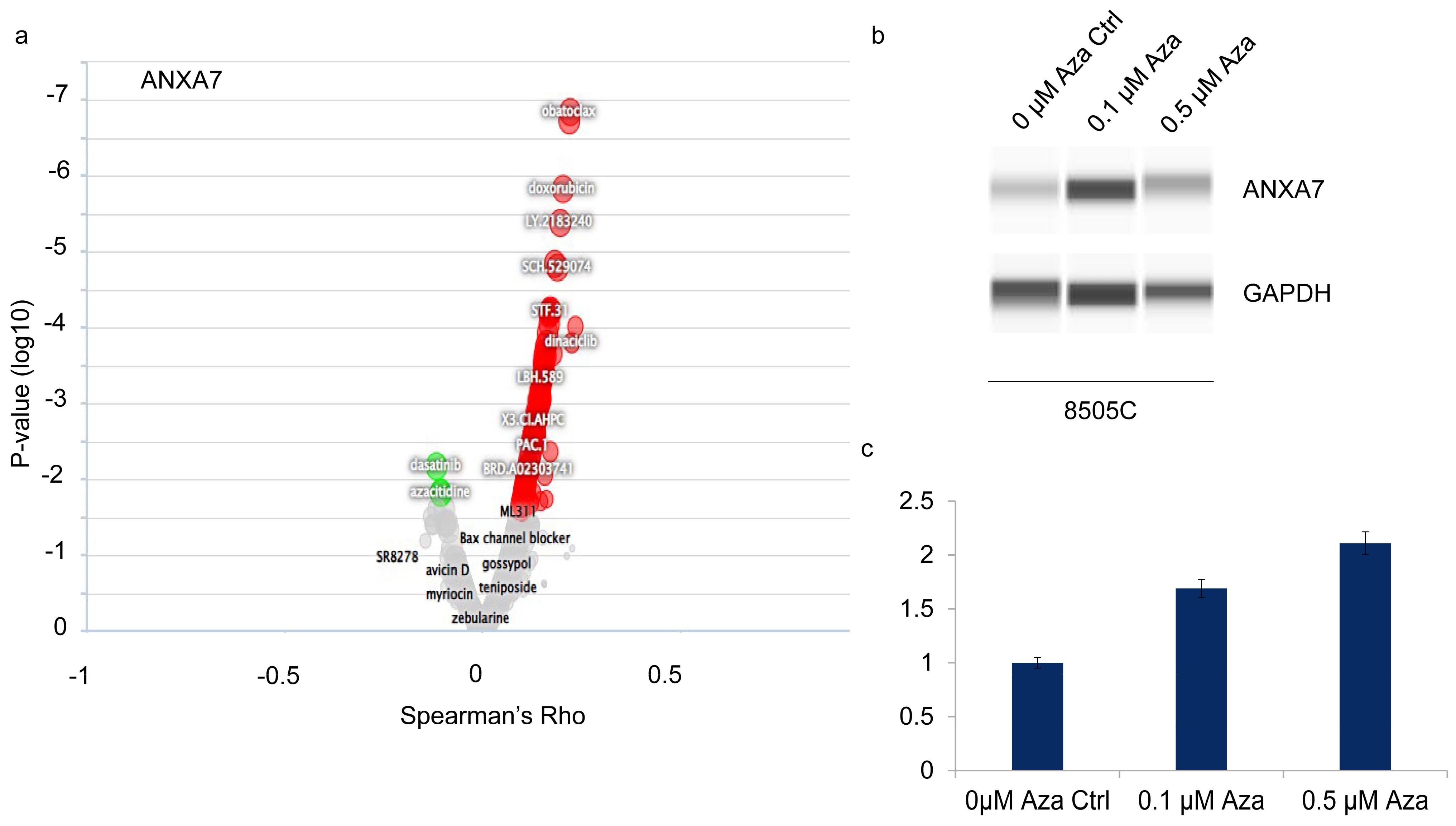 Ijms 25 13217 g006 Ijms 25 13217 g006