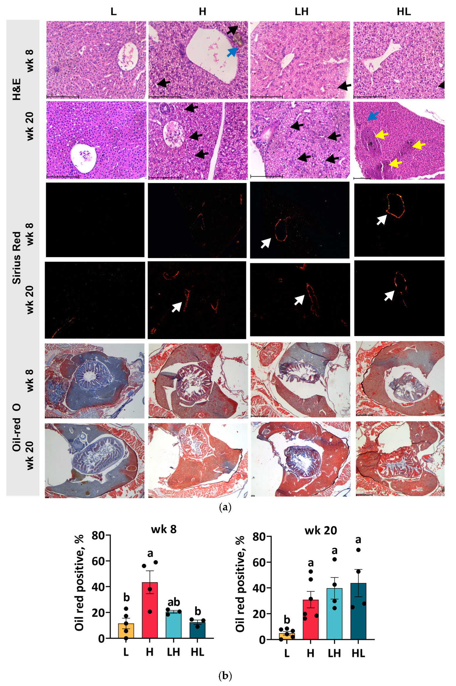 Ijms 25 13225 g002 Ijms 25 13225 g002