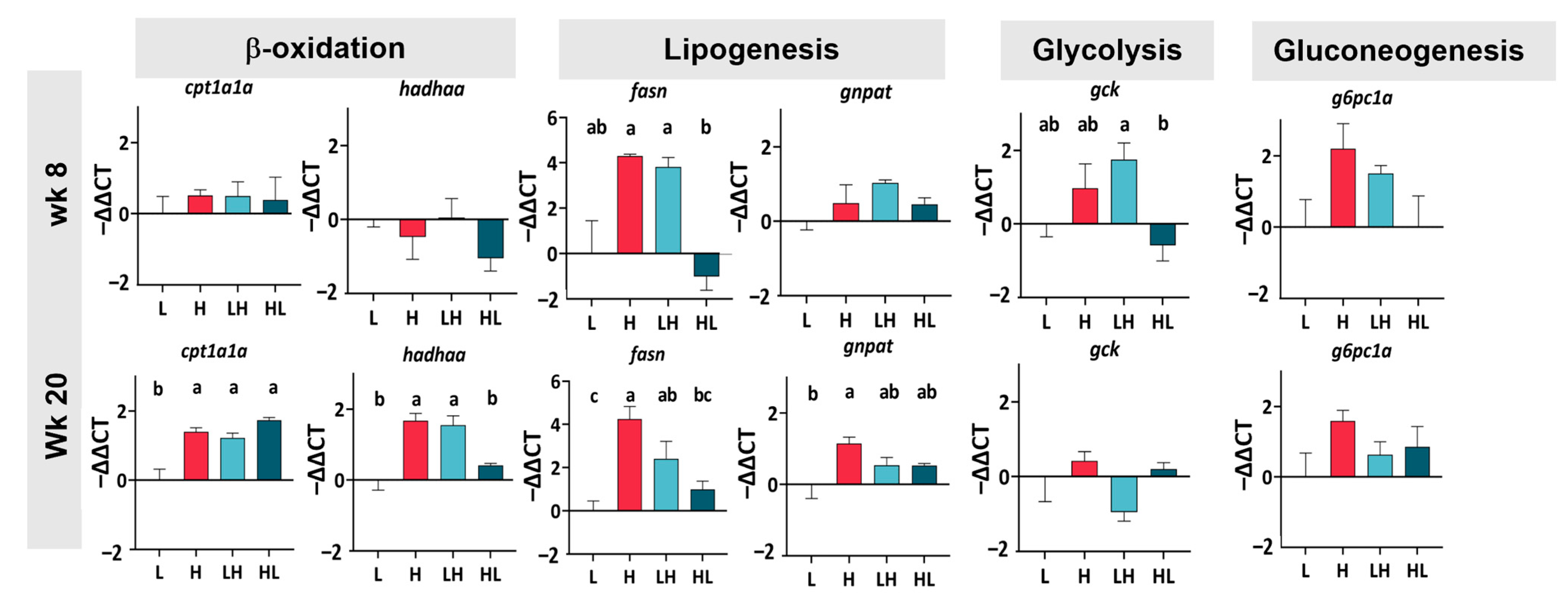 Ijms 25 13225 g003 Ijms 25 13225 g003