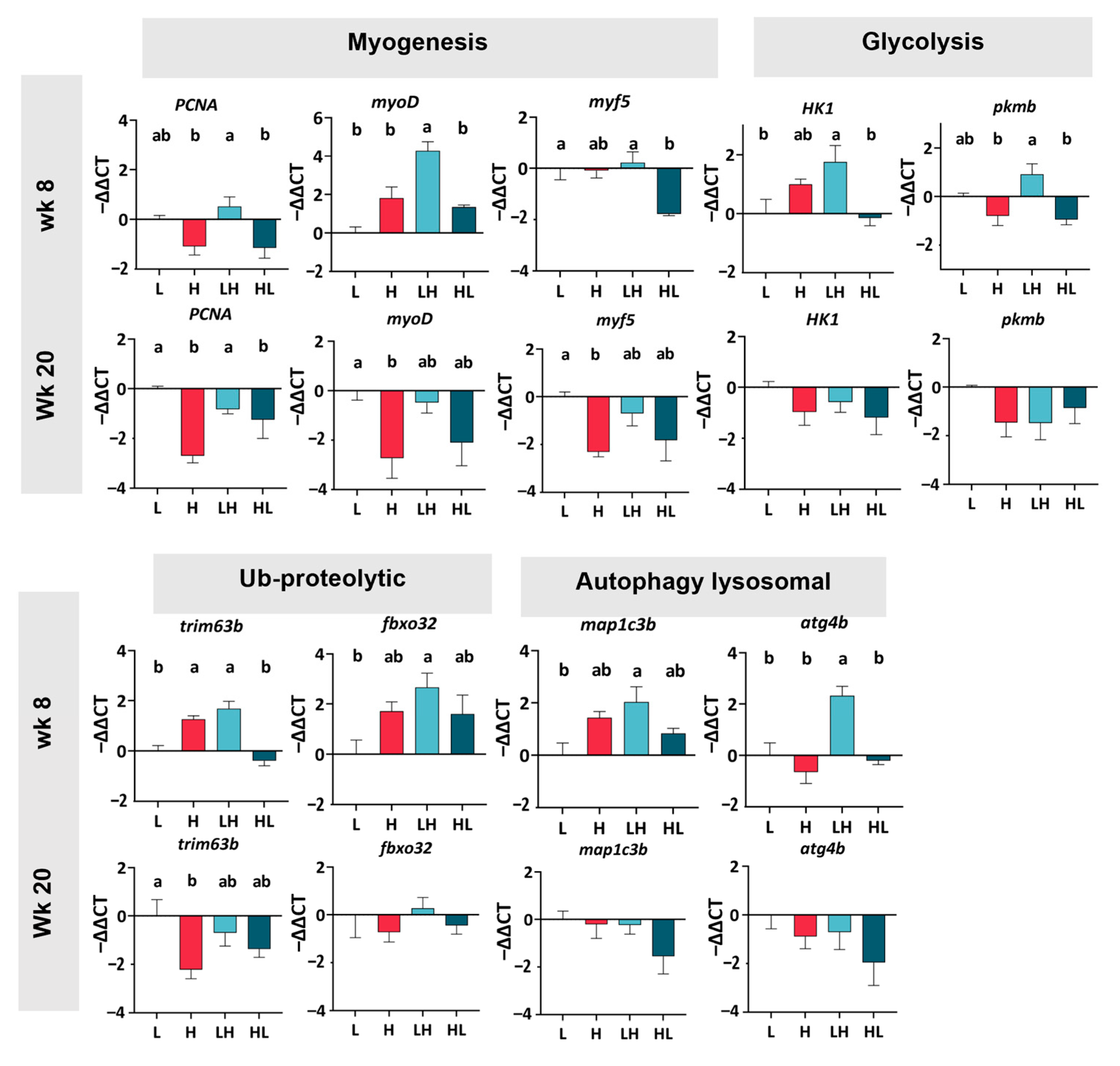 Ijms 25 13225 g005 Ijms 25 13225 g005