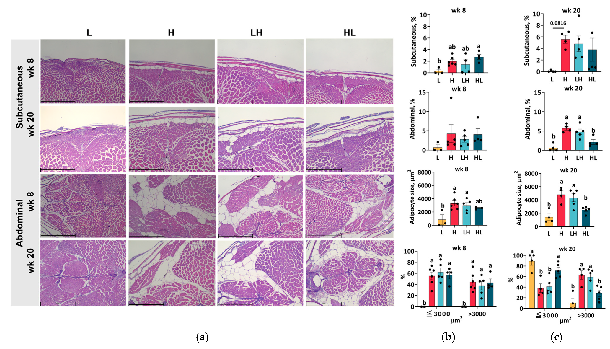 Ijms 25 13225 g006 Ijms 25 13225 g006
