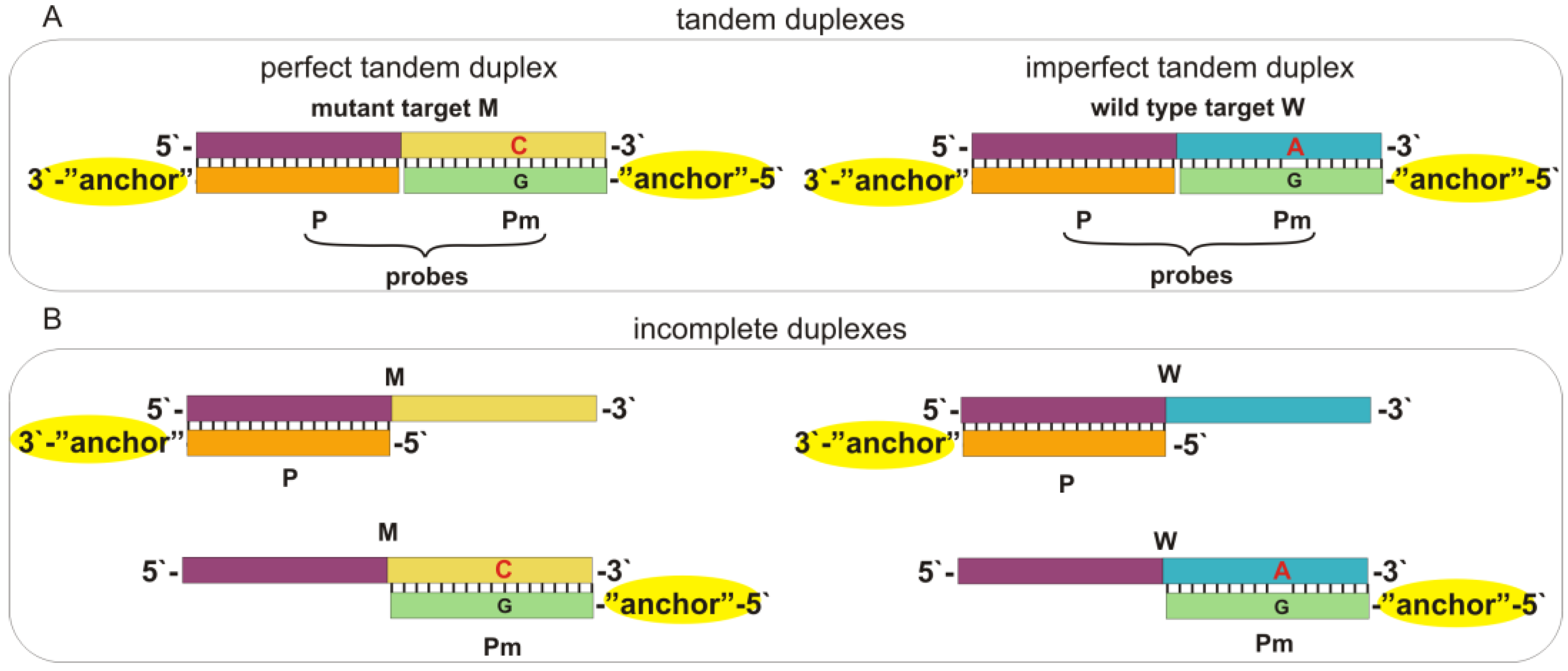 Ijms 25 13230 g001 Ijms 25 13230 g001