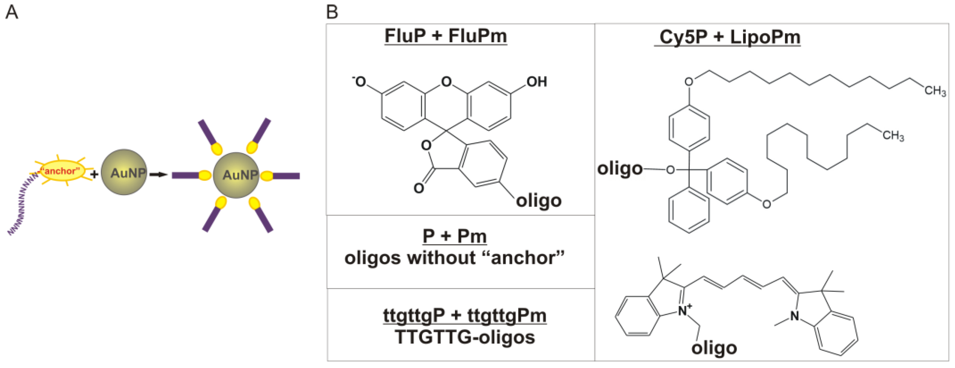 Ijms 25 13230 g002 Ijms 25 13230 g002