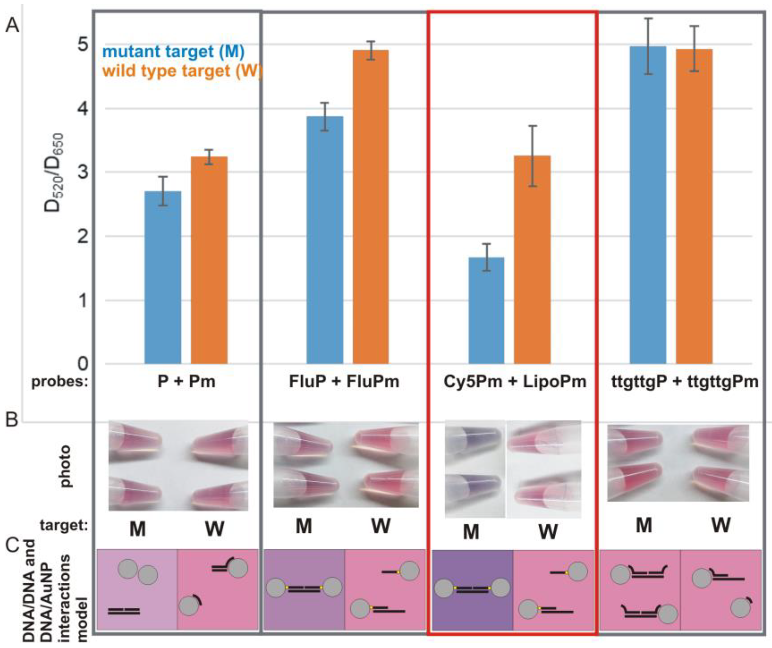 Ijms 25 13230 g004 Ijms 25 13230 g004