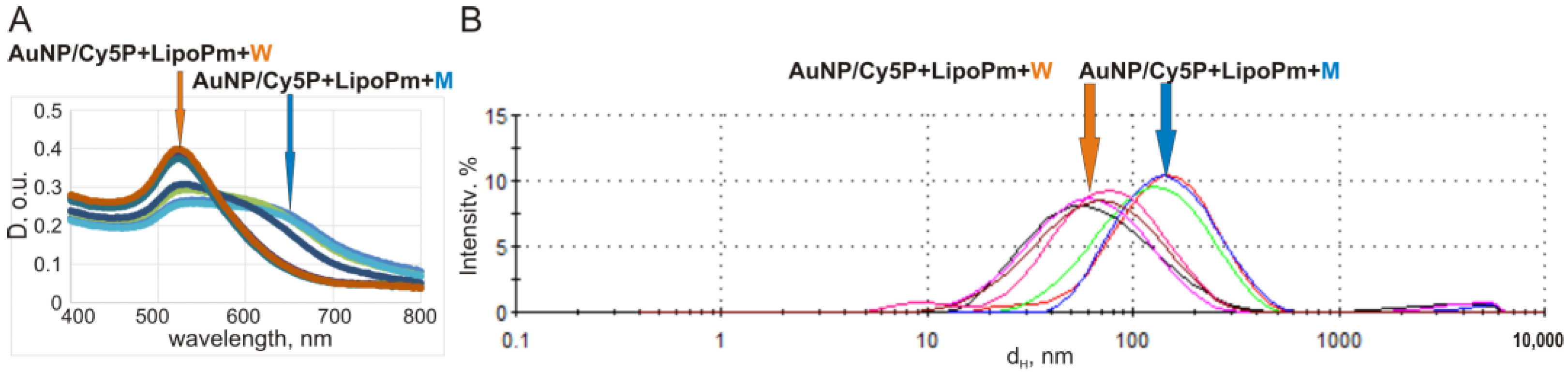 Ijms 25 13230 g006 Ijms 25 13230 g006