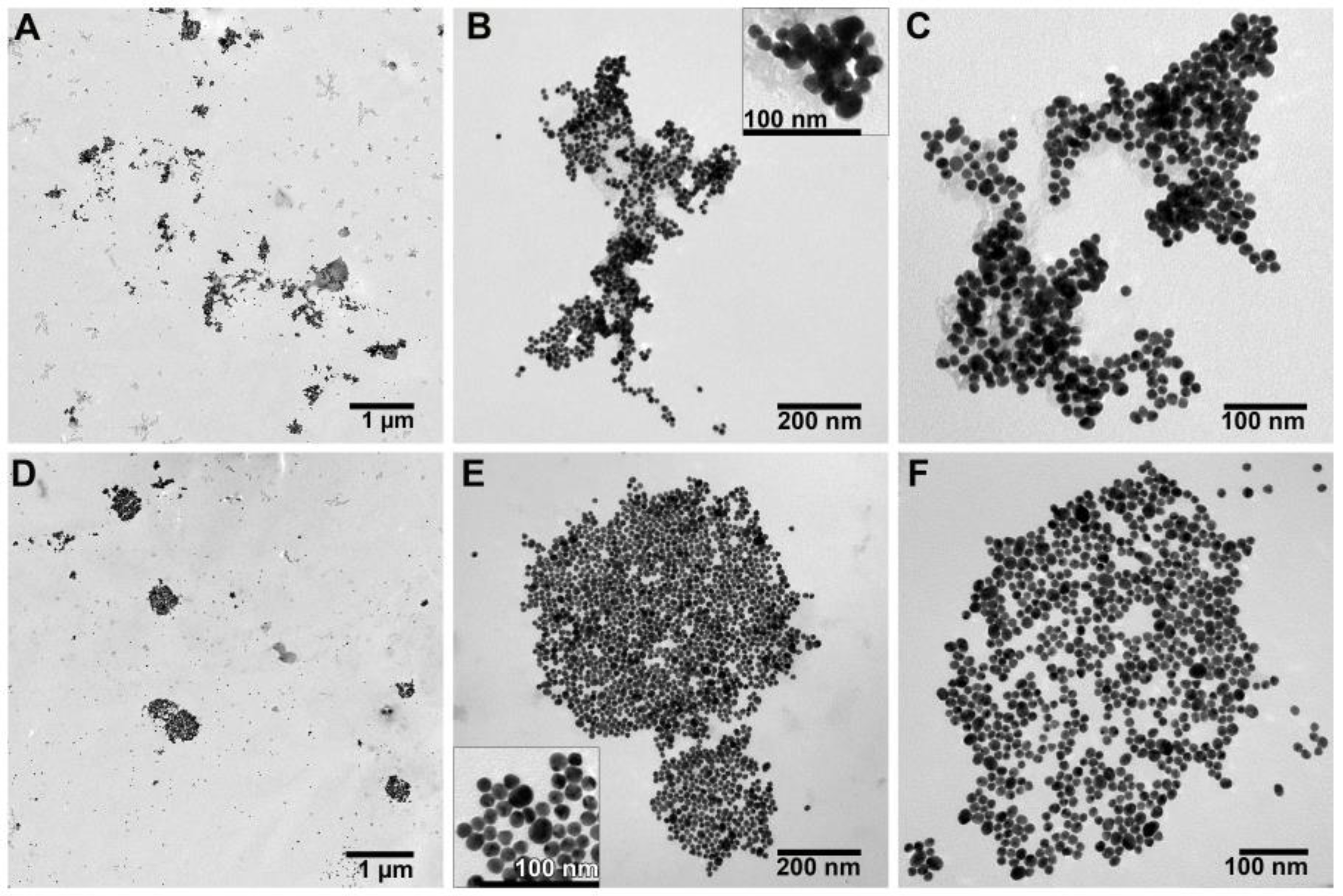 Ijms 25 13230 g007 Ijms 25 13230 g007