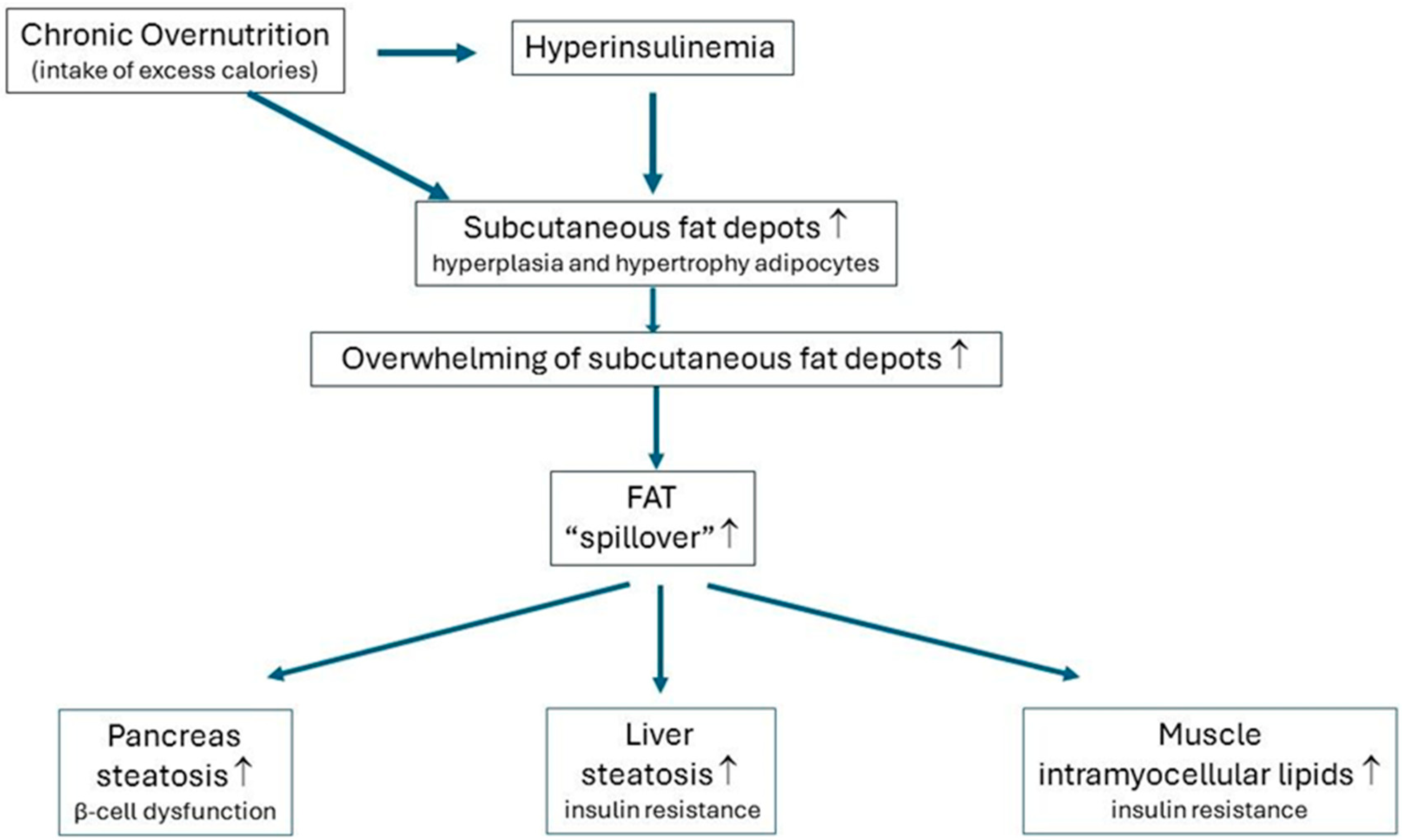 Ijms 25 13238 g002 Ijms 25 13238 g002