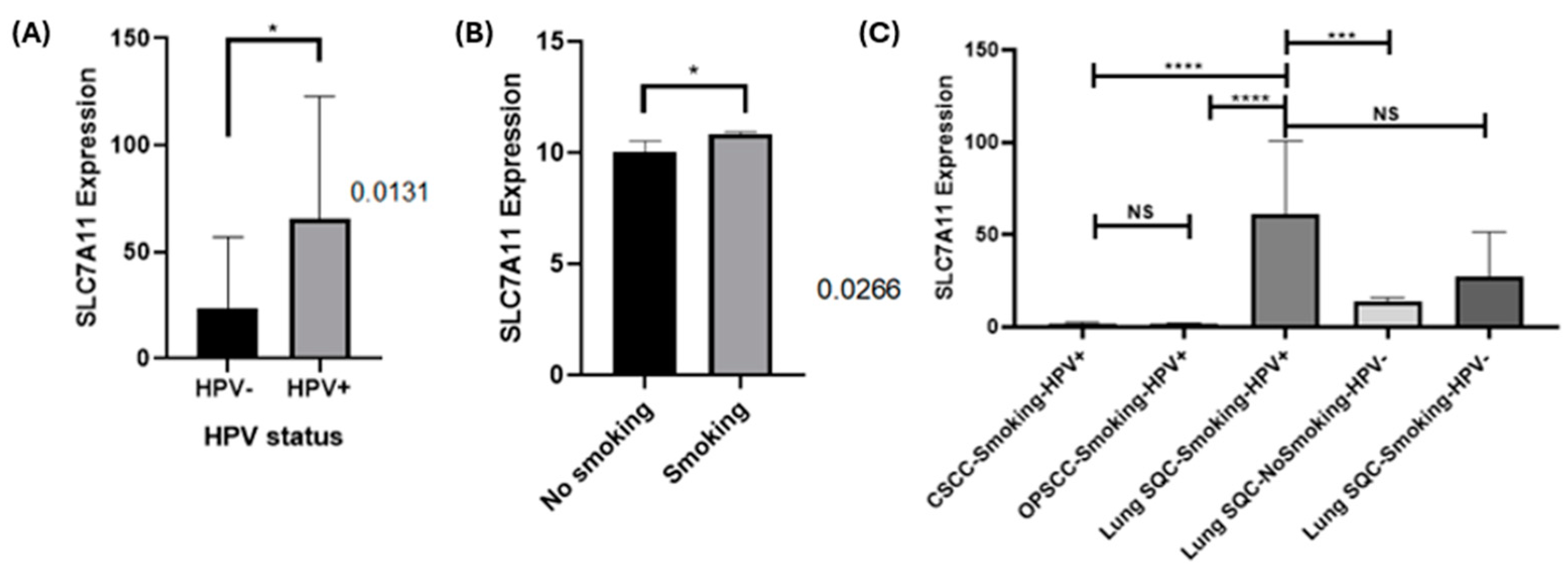 Ijms 25 13248 g003 Ijms 25 13248 g003