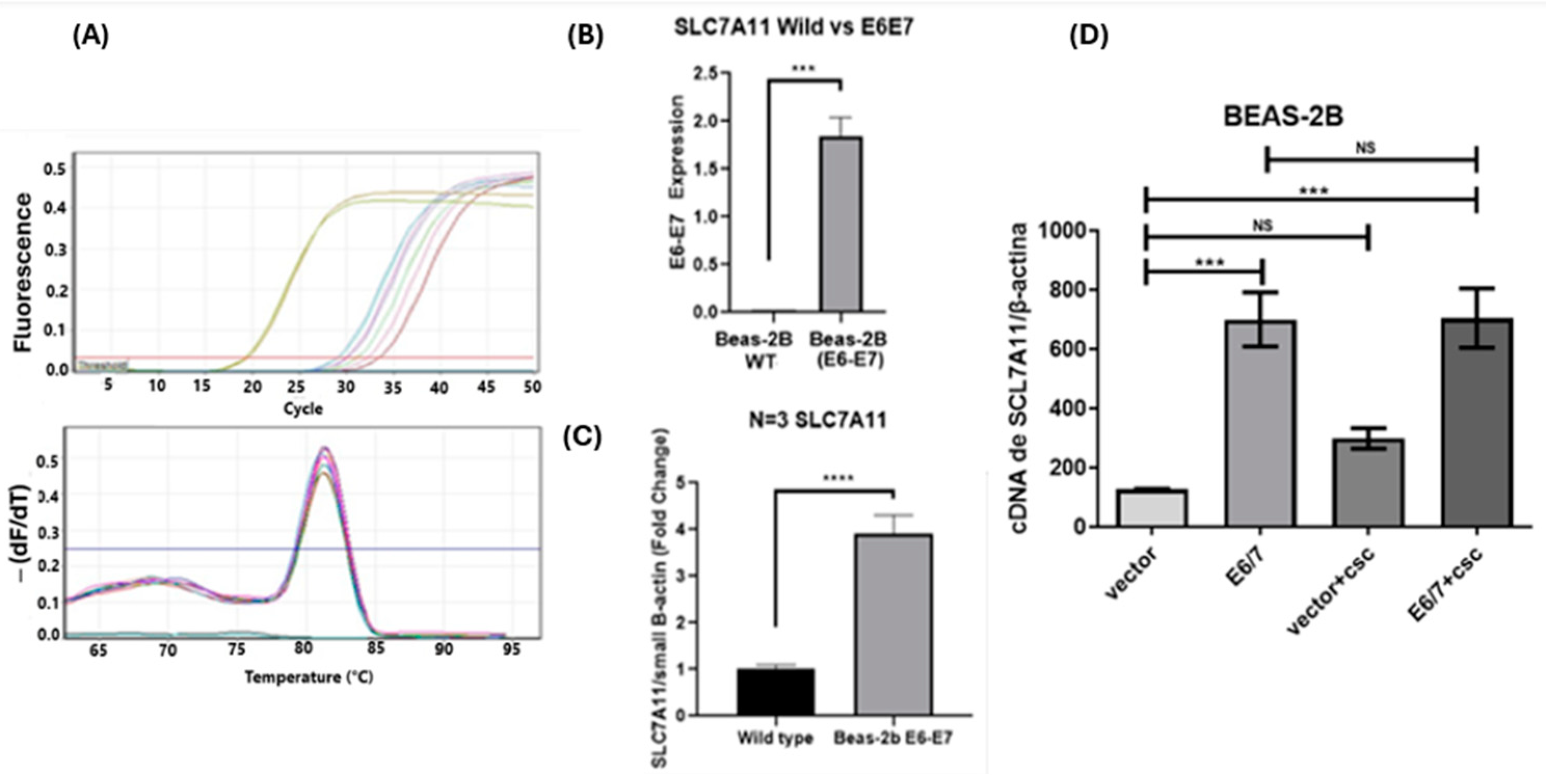 Ijms 25 13248 g004 Ijms 25 13248 g004