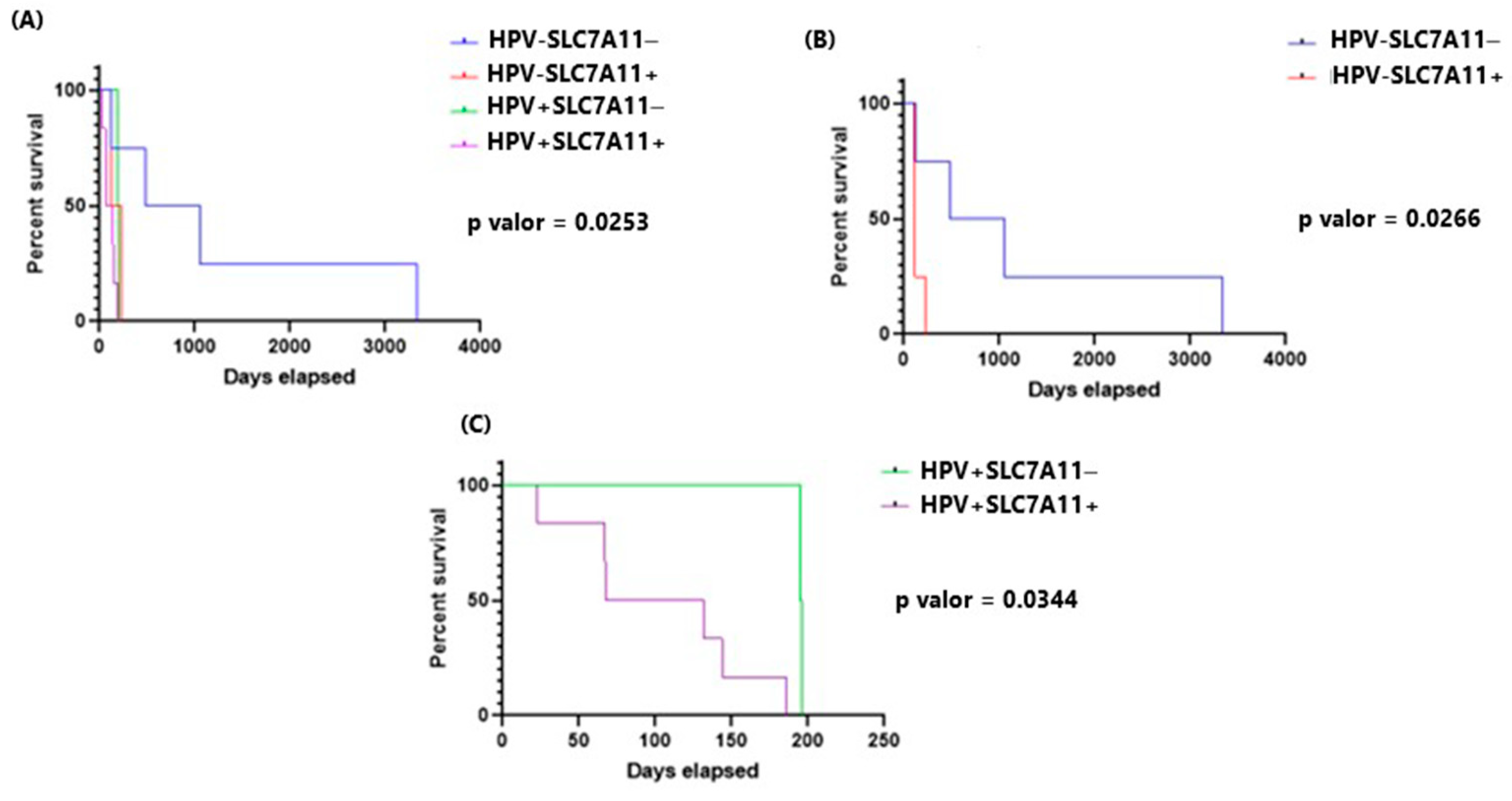 Ijms 25 13248 g005 Ijms 25 13248 g005