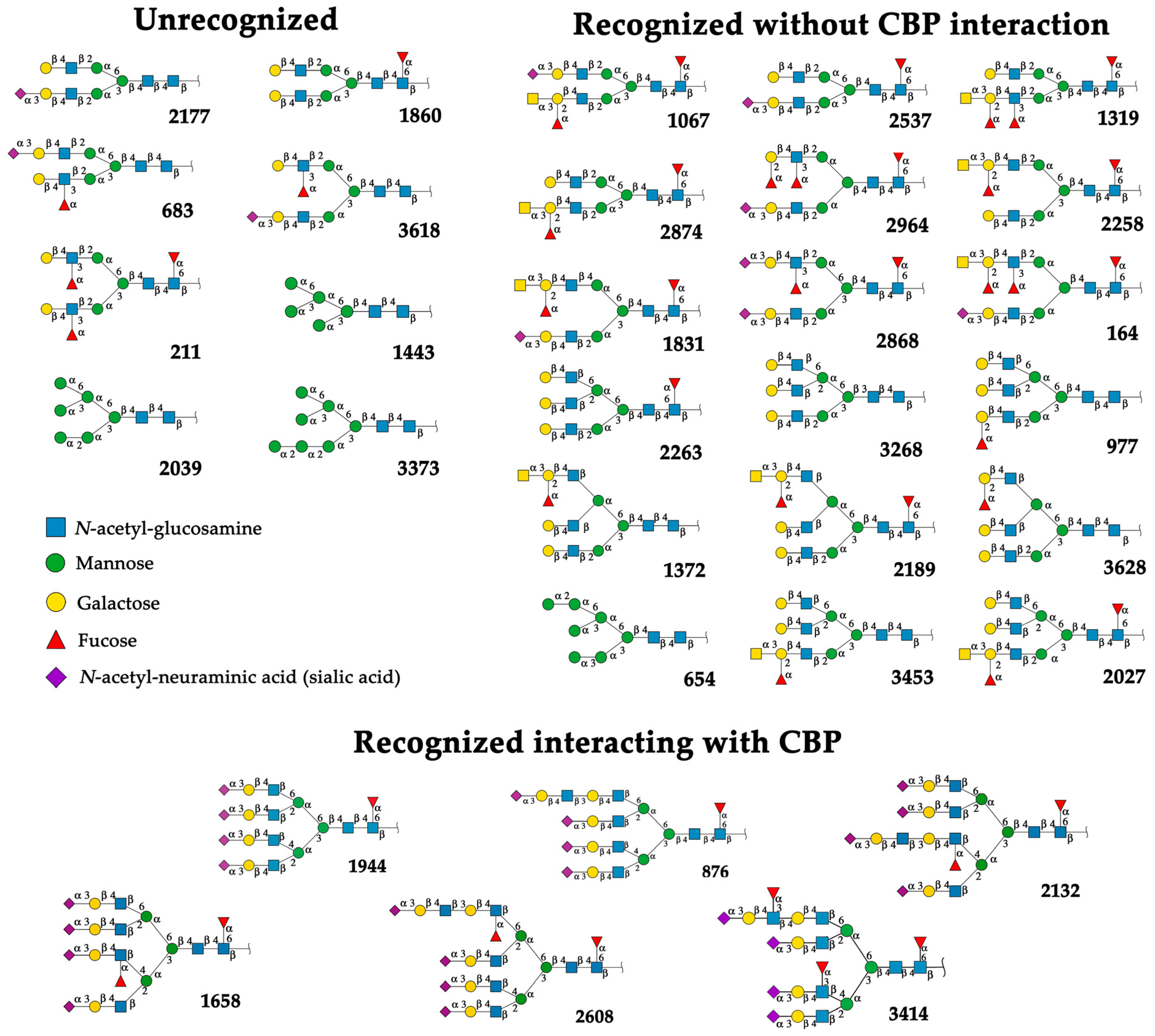 Ijms 25 13258 g005 Ijms 25 13258 g005