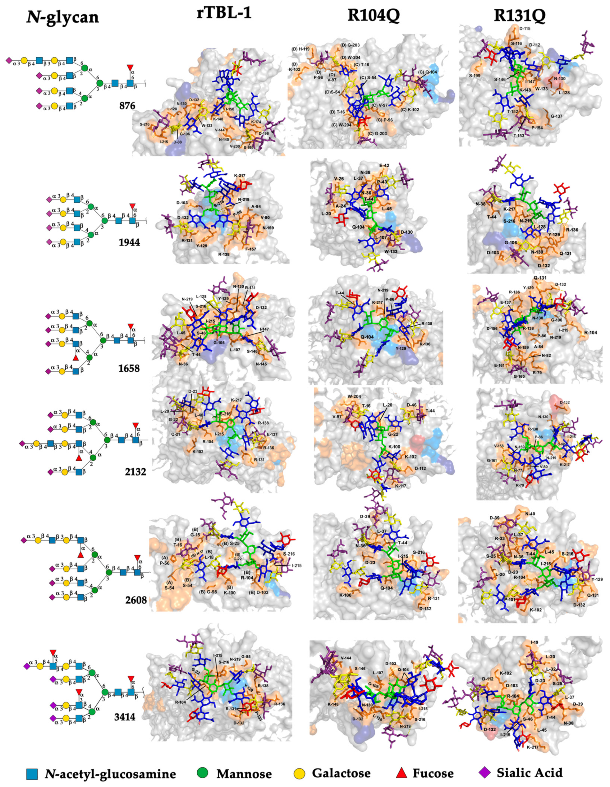 Ijms 25 13258 g007 Ijms 25 13258 g007