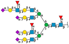 Ijms 25 13258 i021 Ijms 25 13258 i021