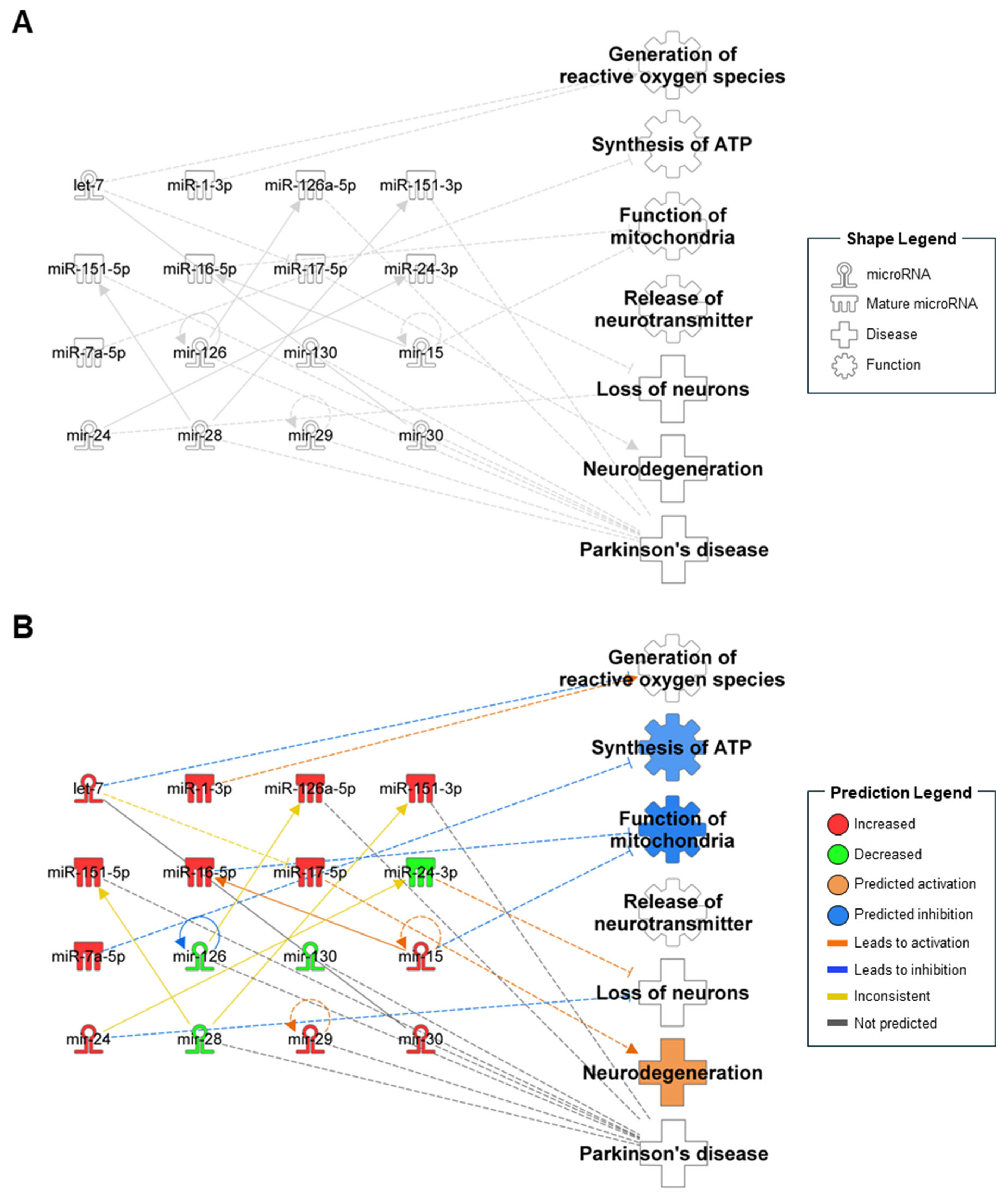 Ijms 25 13260 g001 Ijms 25 13260 g001