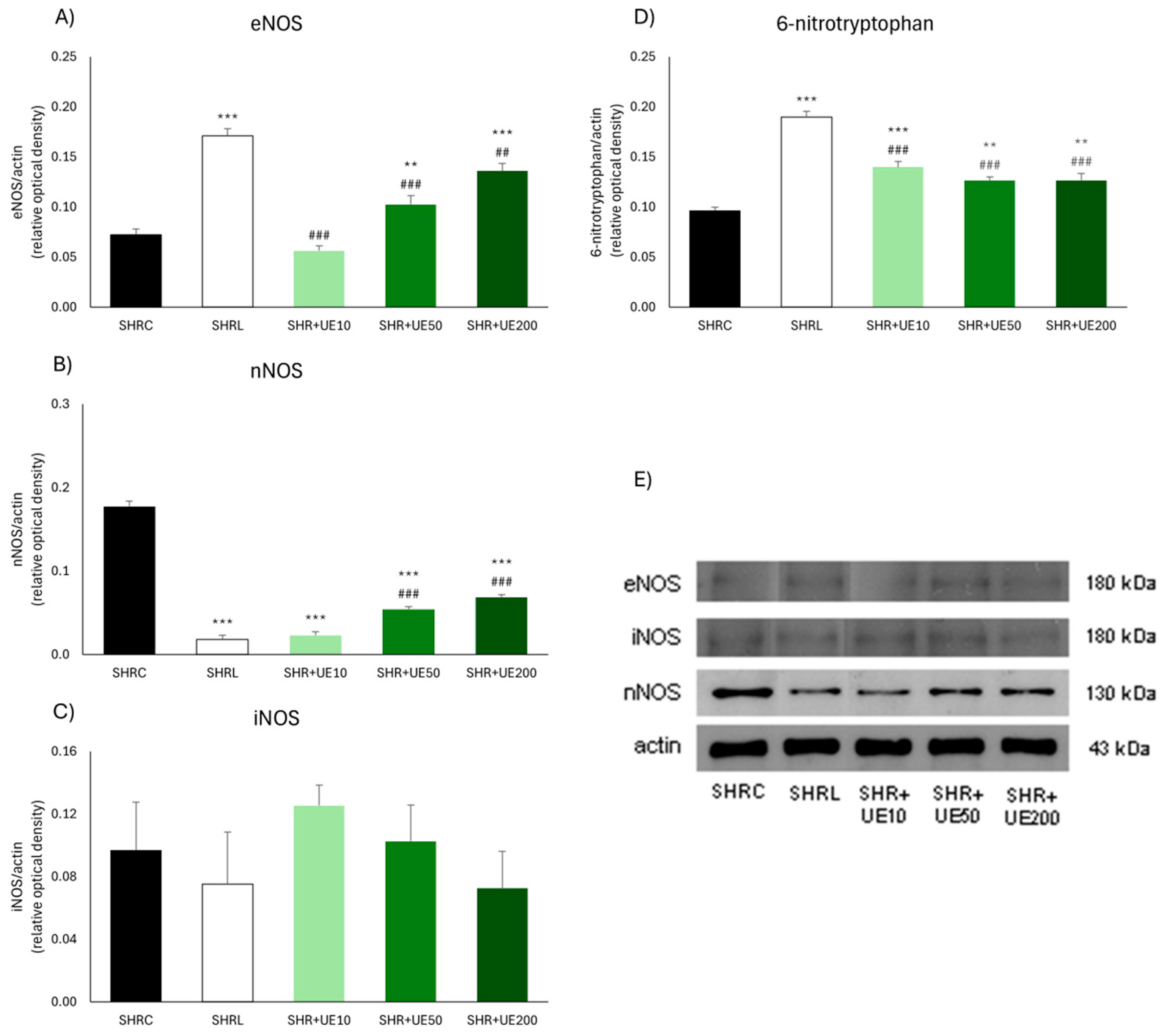 Ijms 25 13272 g002 Ijms 25 13272 g002