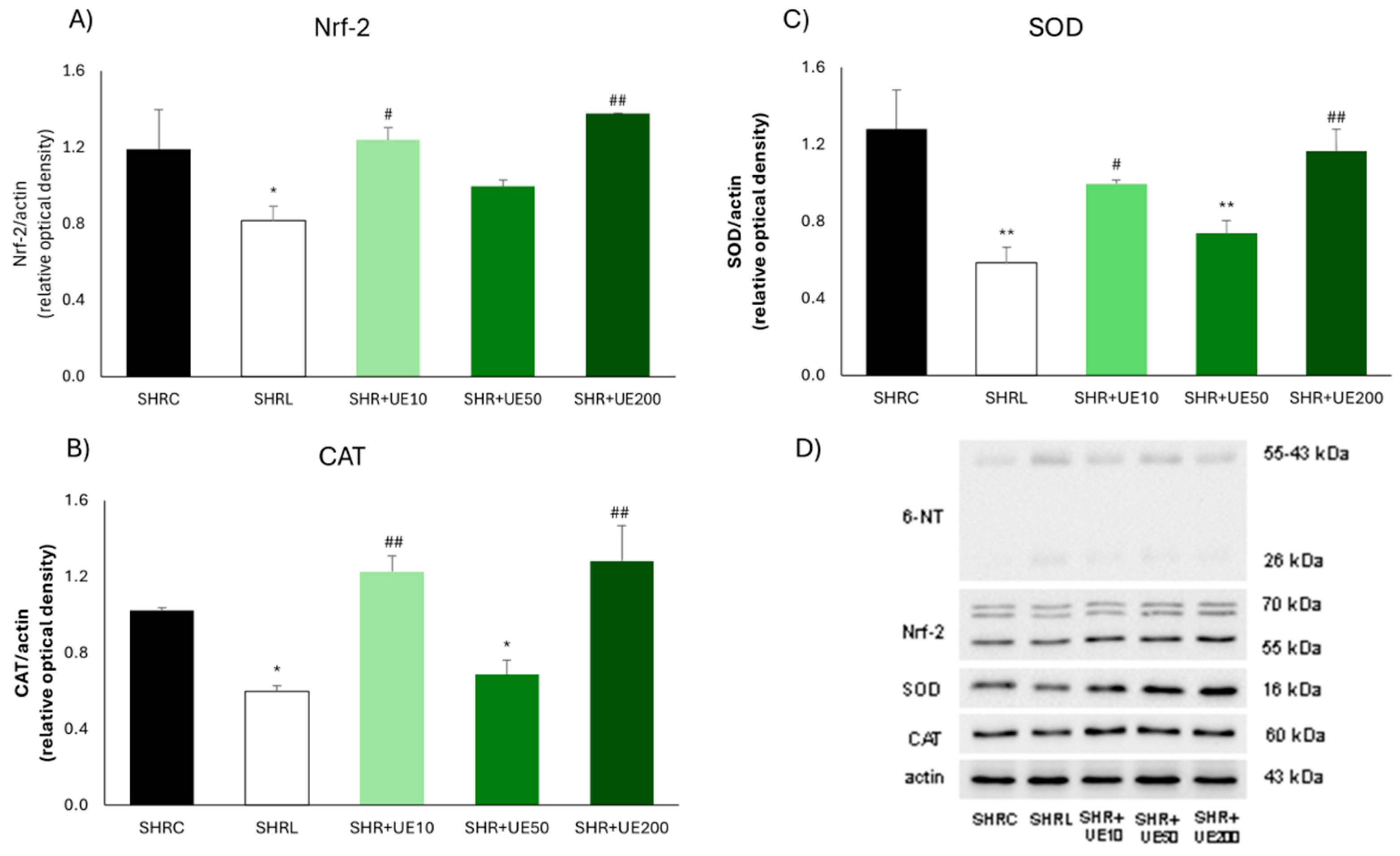 Ijms 25 13272 g003 Ijms 25 13272 g003