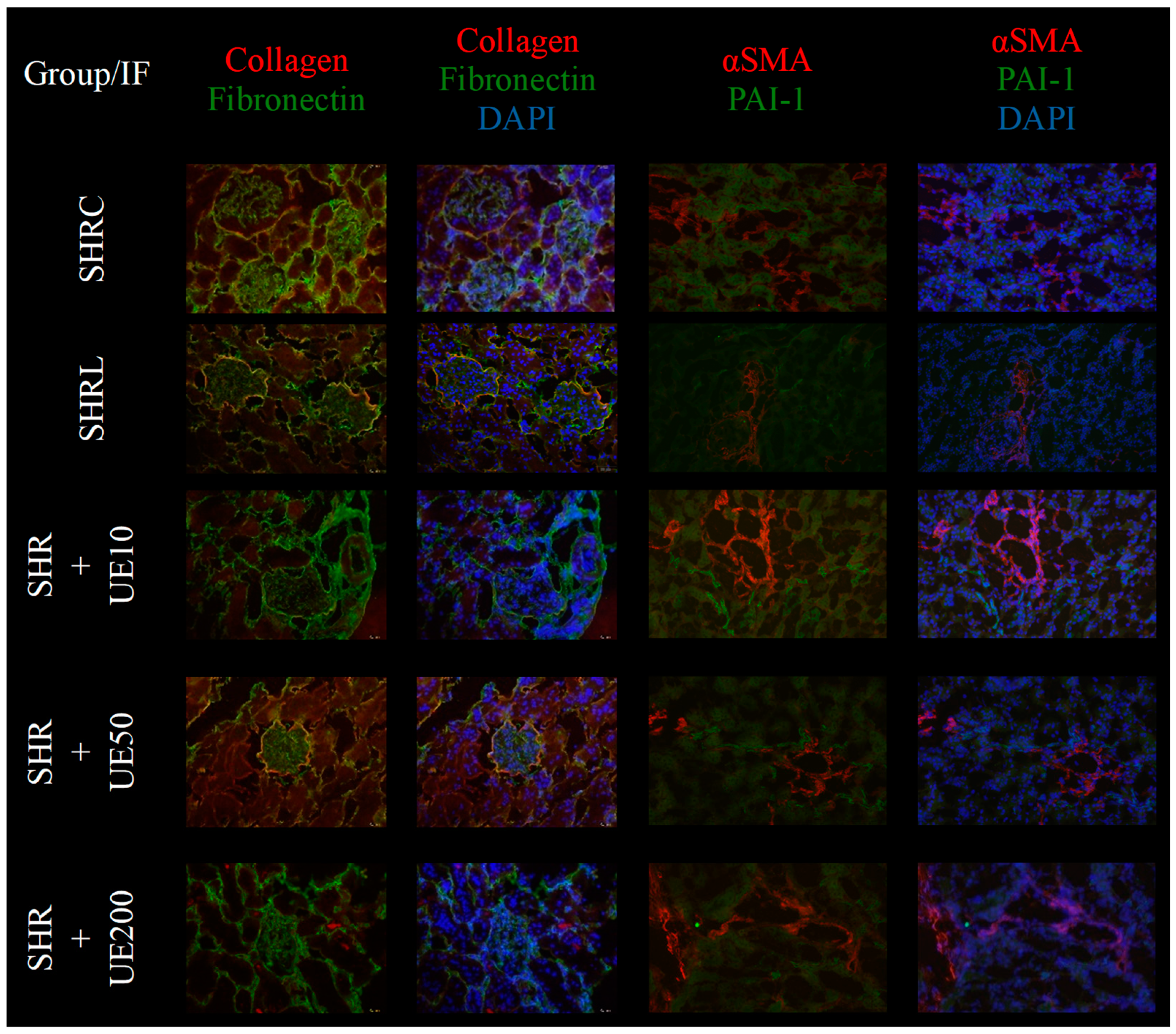 Ijms 25 13272 g005 Ijms 25 13272 g005