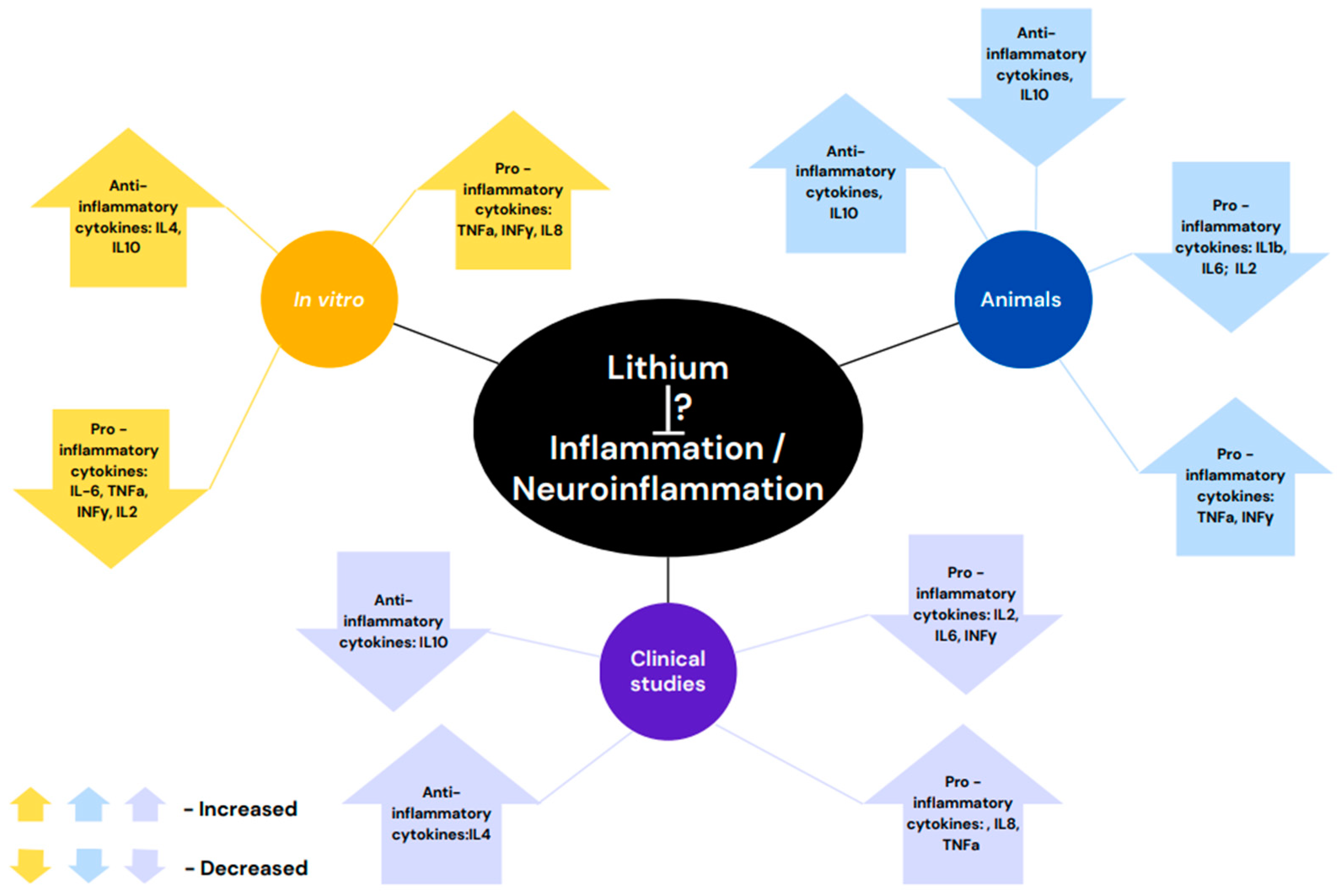 Ijms 25 13277 g001 Ijms 25 13277 g001