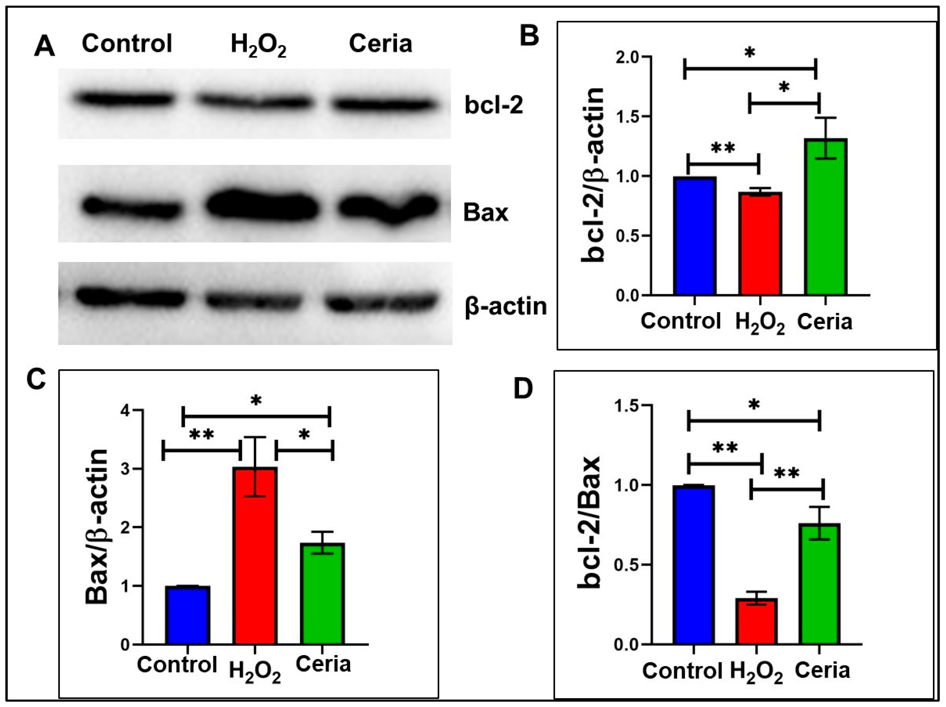 Ijms 25 13281 g005 Ijms 25 13281 g005