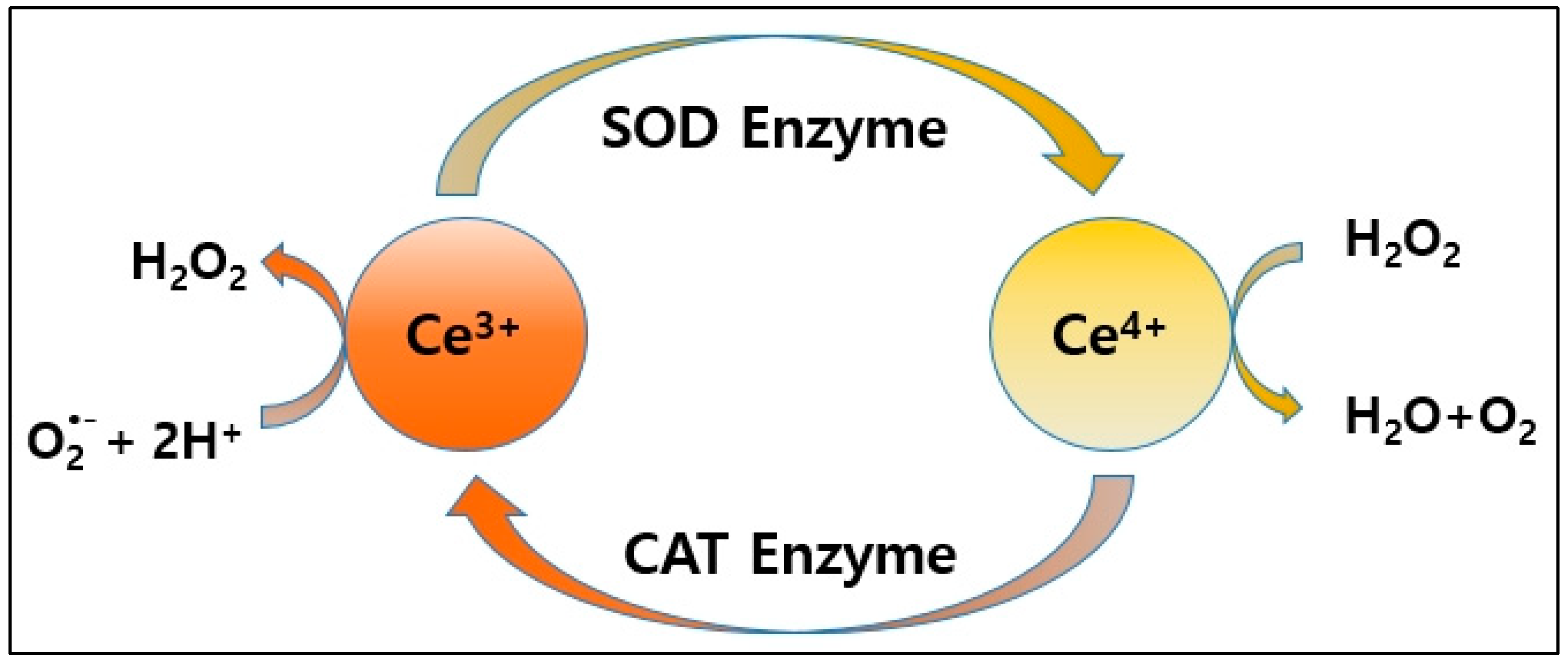 Ijms 25 13281 g008 Ijms 25 13281 g008