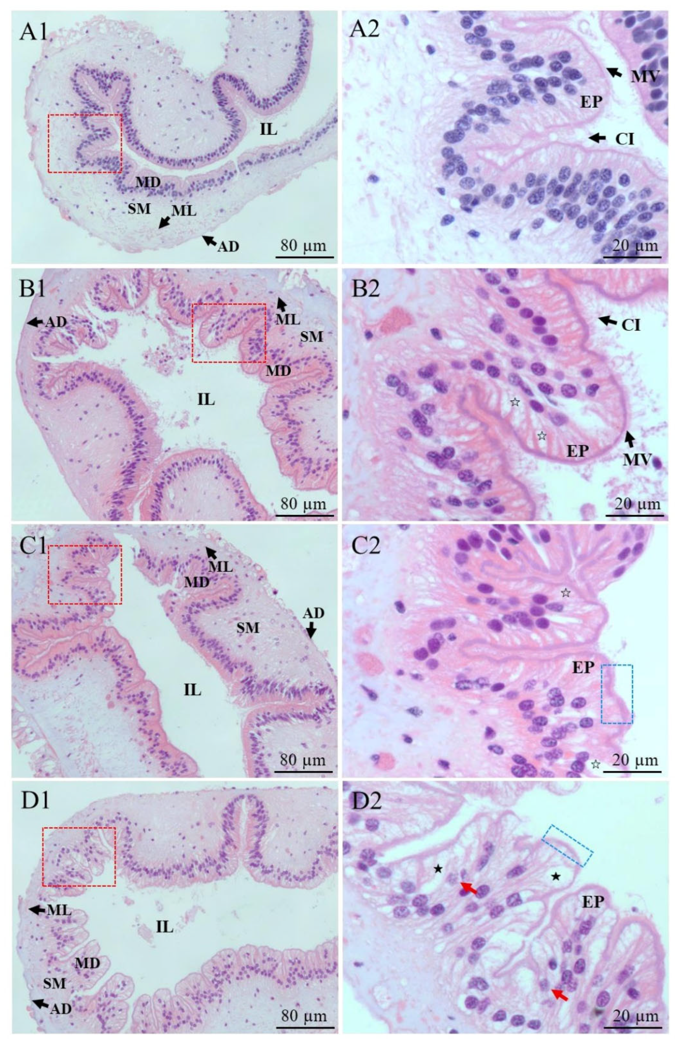 Cadmium-Induced Oxidative Damage and the Expression and Cadmium-Induced Oxidative Damage and the Expression and