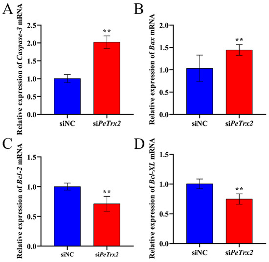 Cadmium-Induced Oxidative Damage and the Expression and Cadmium-Induced Oxidative Damage and the Expression and