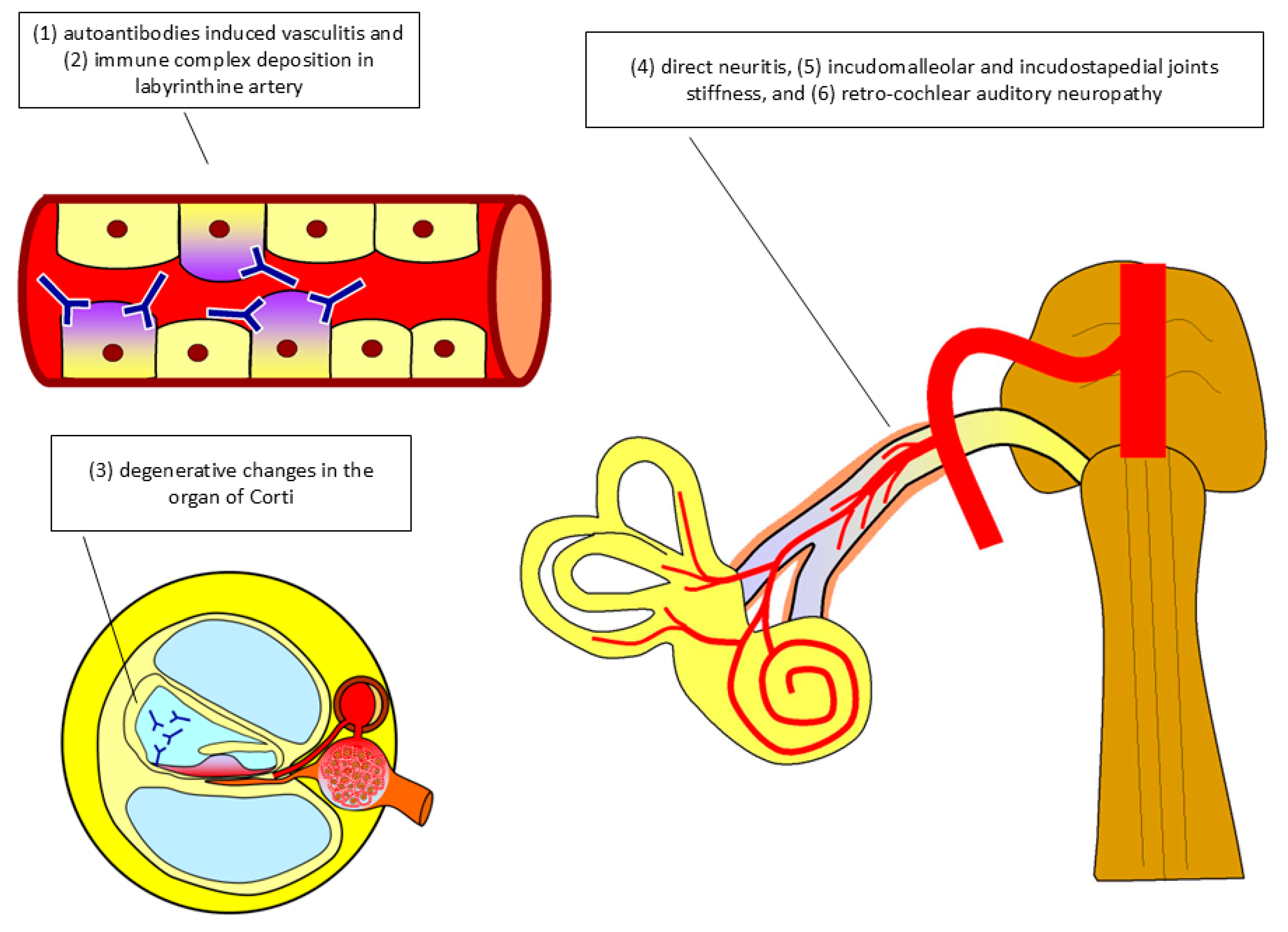 Ijms 25 13290 g002 Ijms 25 13290 g002