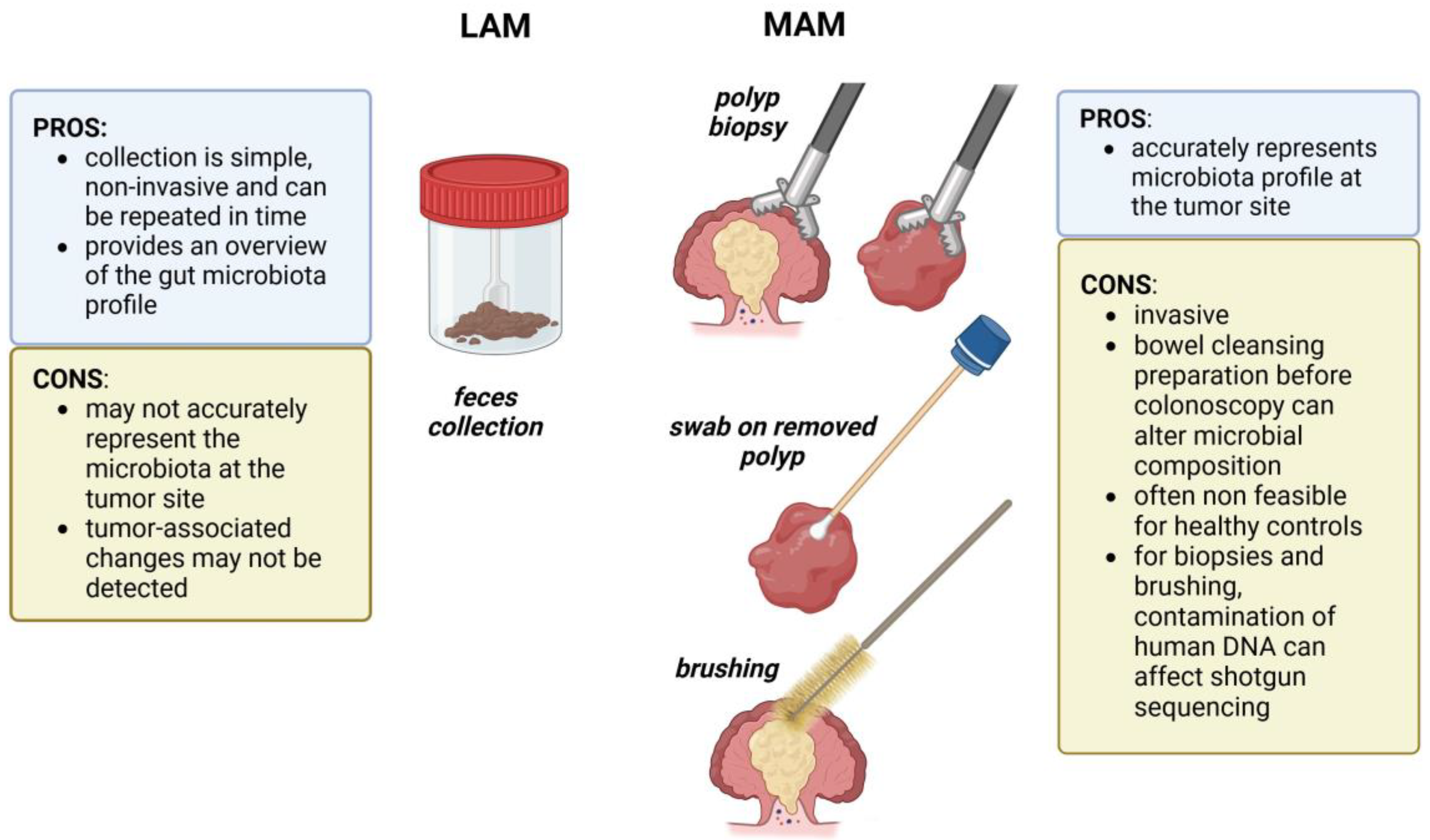 Ijms 25 13308 g002 Ijms 25 13308 g002