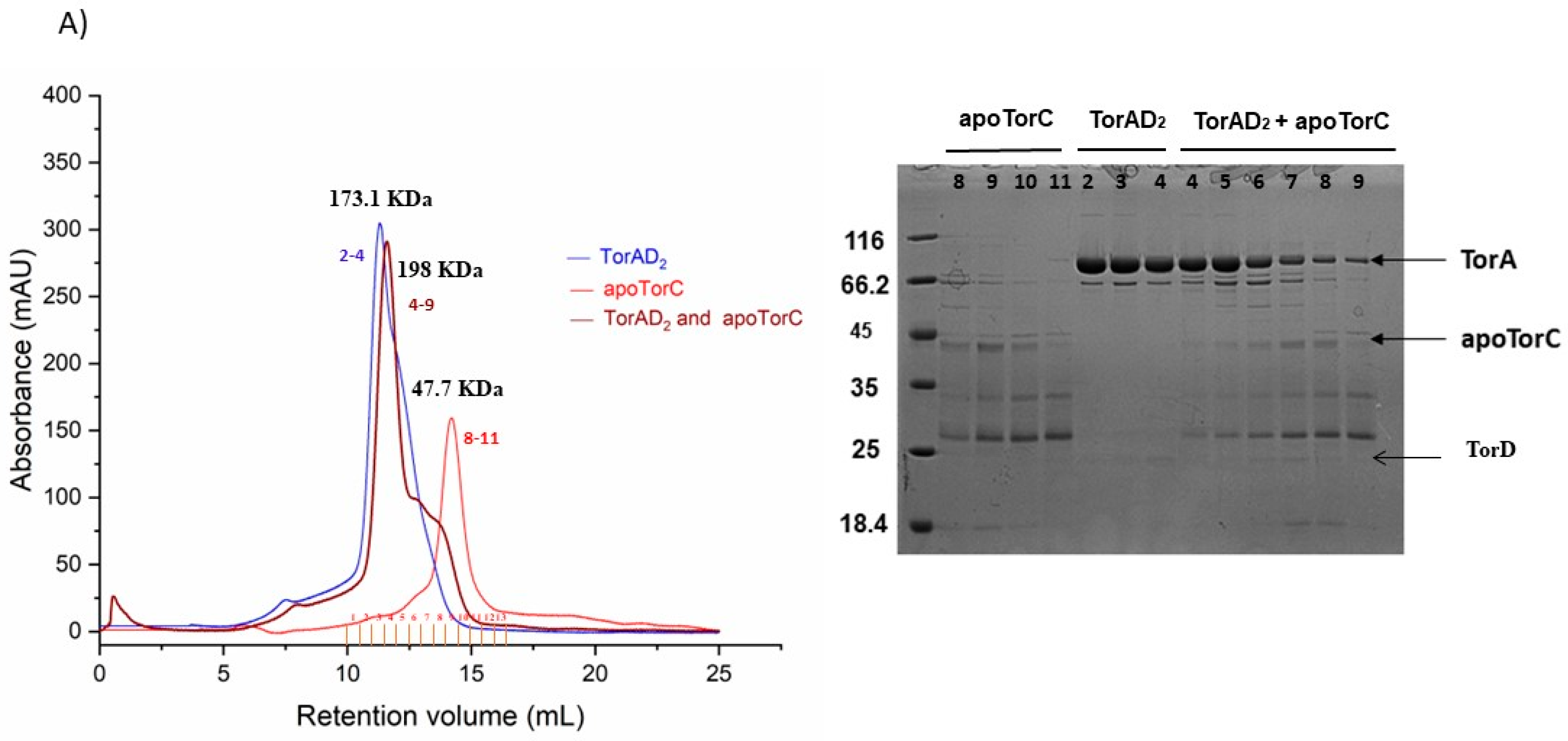 Ijms 25 13331 g004a Ijms 25 13331 g004a