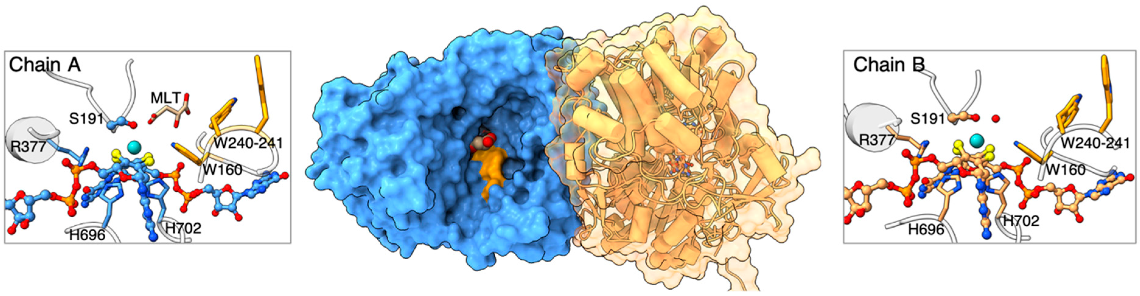 Ijms 25 13331 g005 Ijms 25 13331 g005