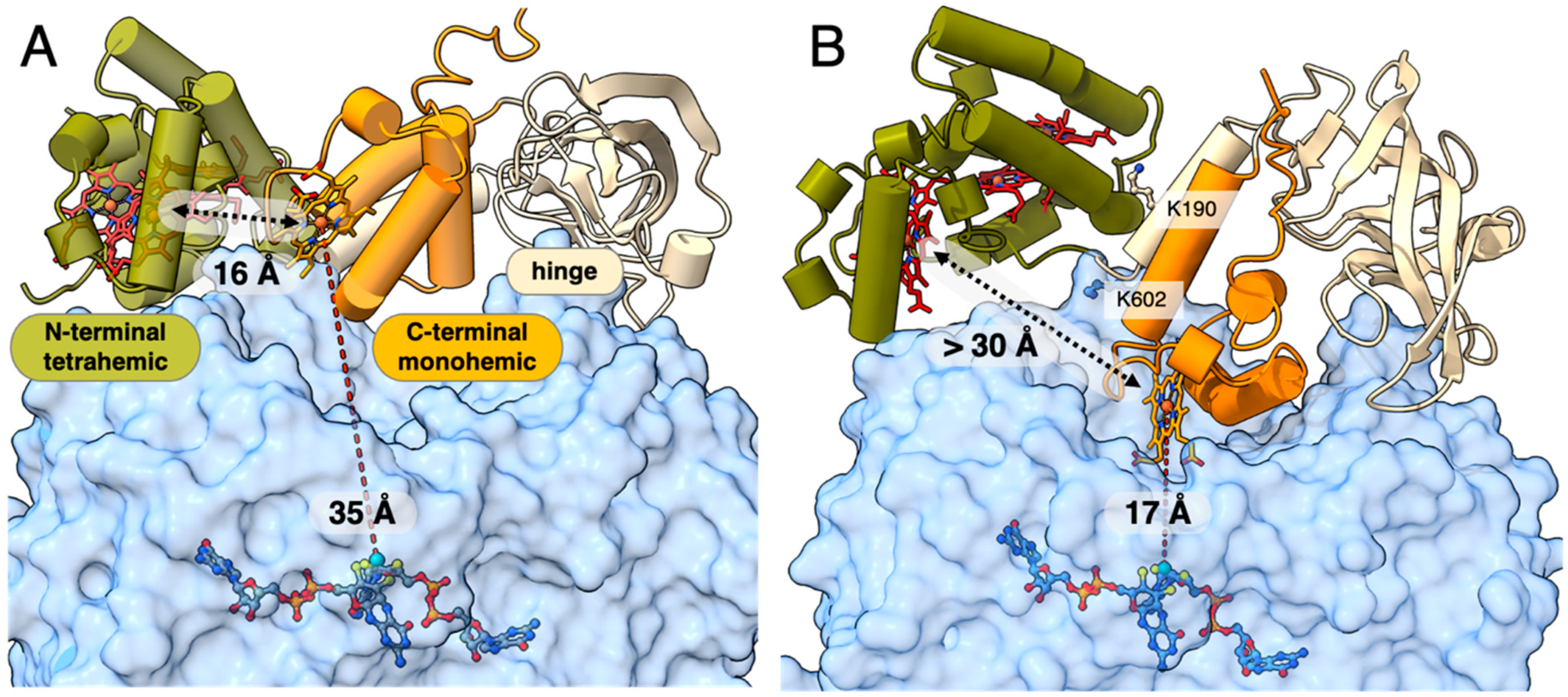 Ijms 25 13331 g006 Ijms 25 13331 g006