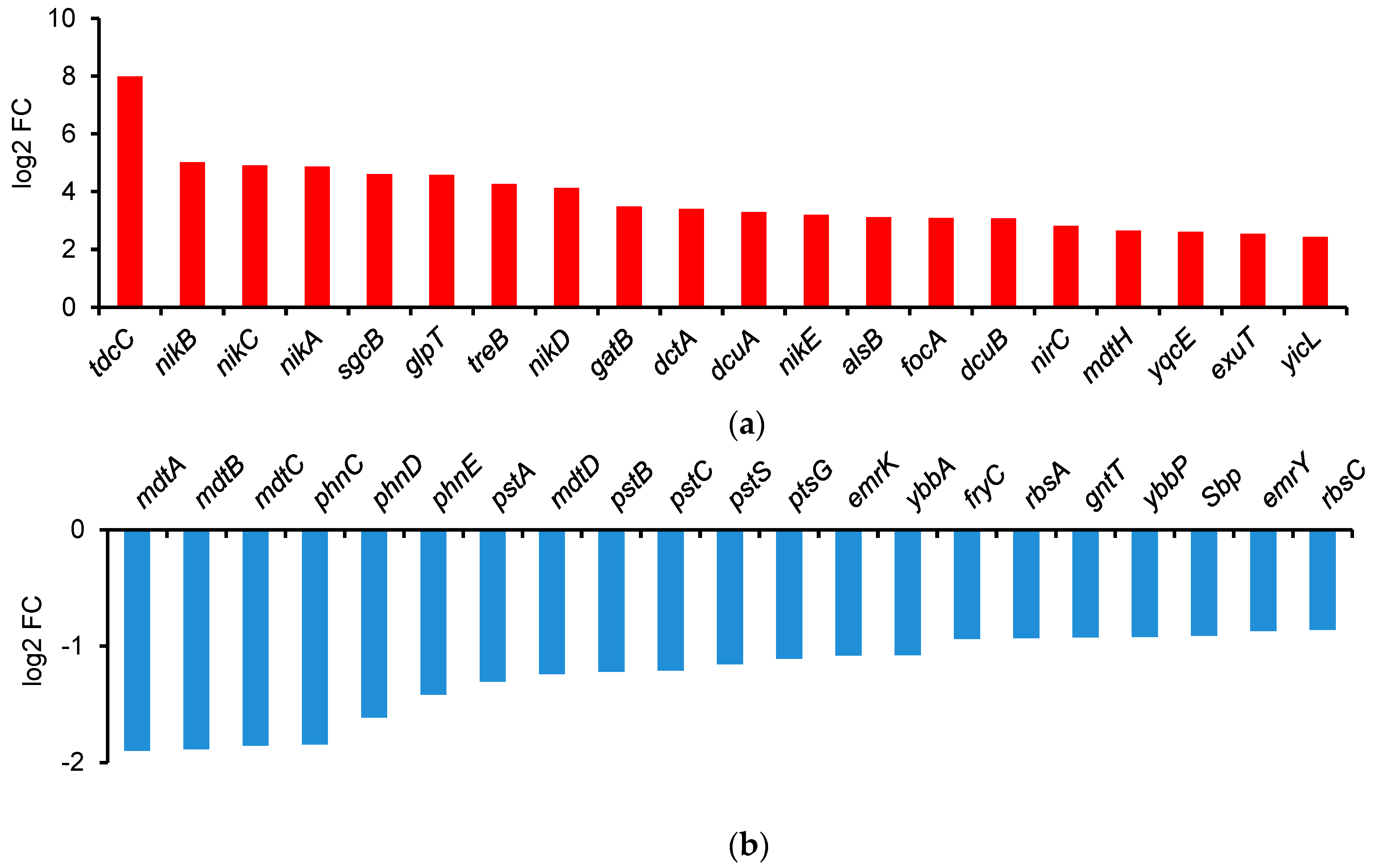 Ijms 25 13336 g003 Ijms 25 13336 g003