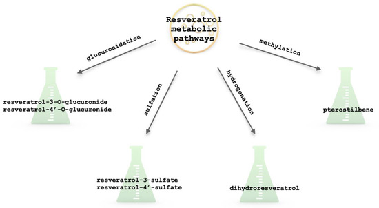 The Potential Application of Resveratrol and Its Derivatives