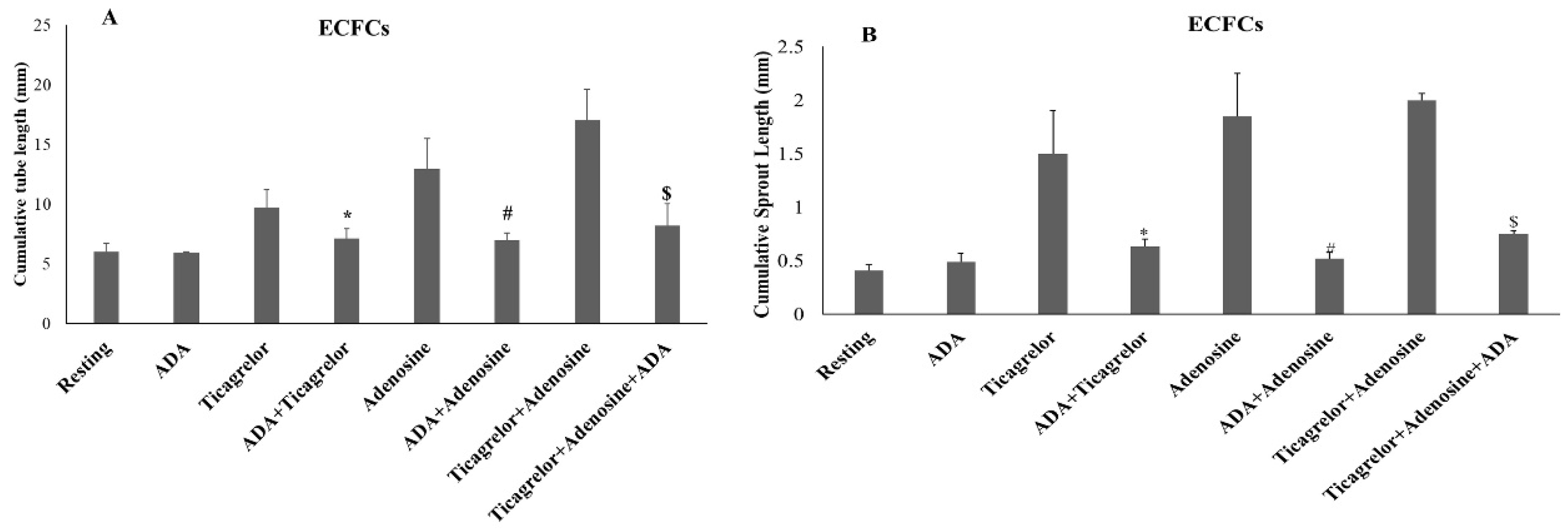 Ijms 25 13343 g002 Ijms 25 13343 g002