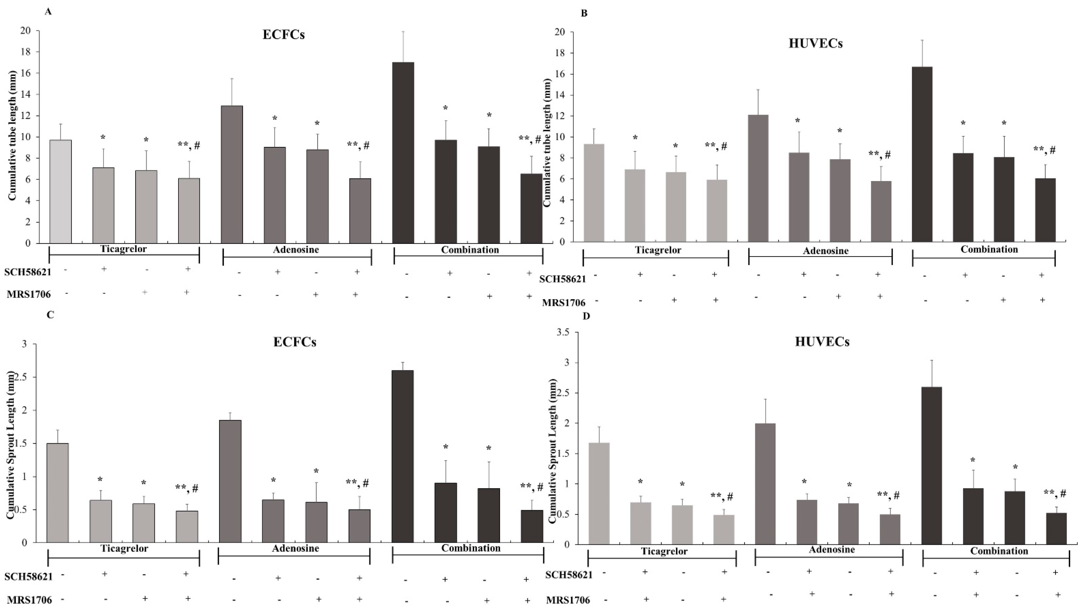 Ijms 25 13343 g003 Ijms 25 13343 g003