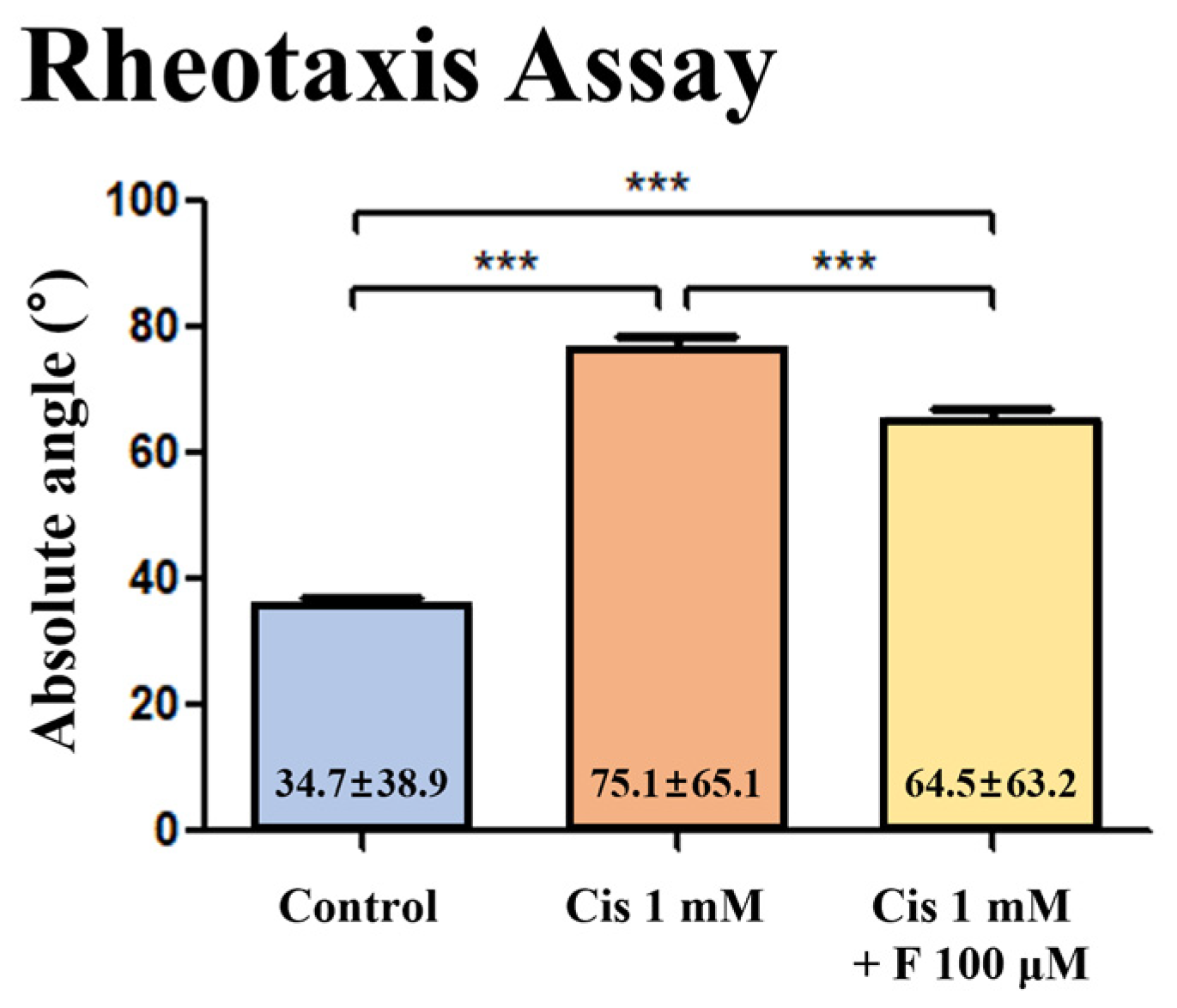Ijms 25 13363 g003 Ijms 25 13363 g003