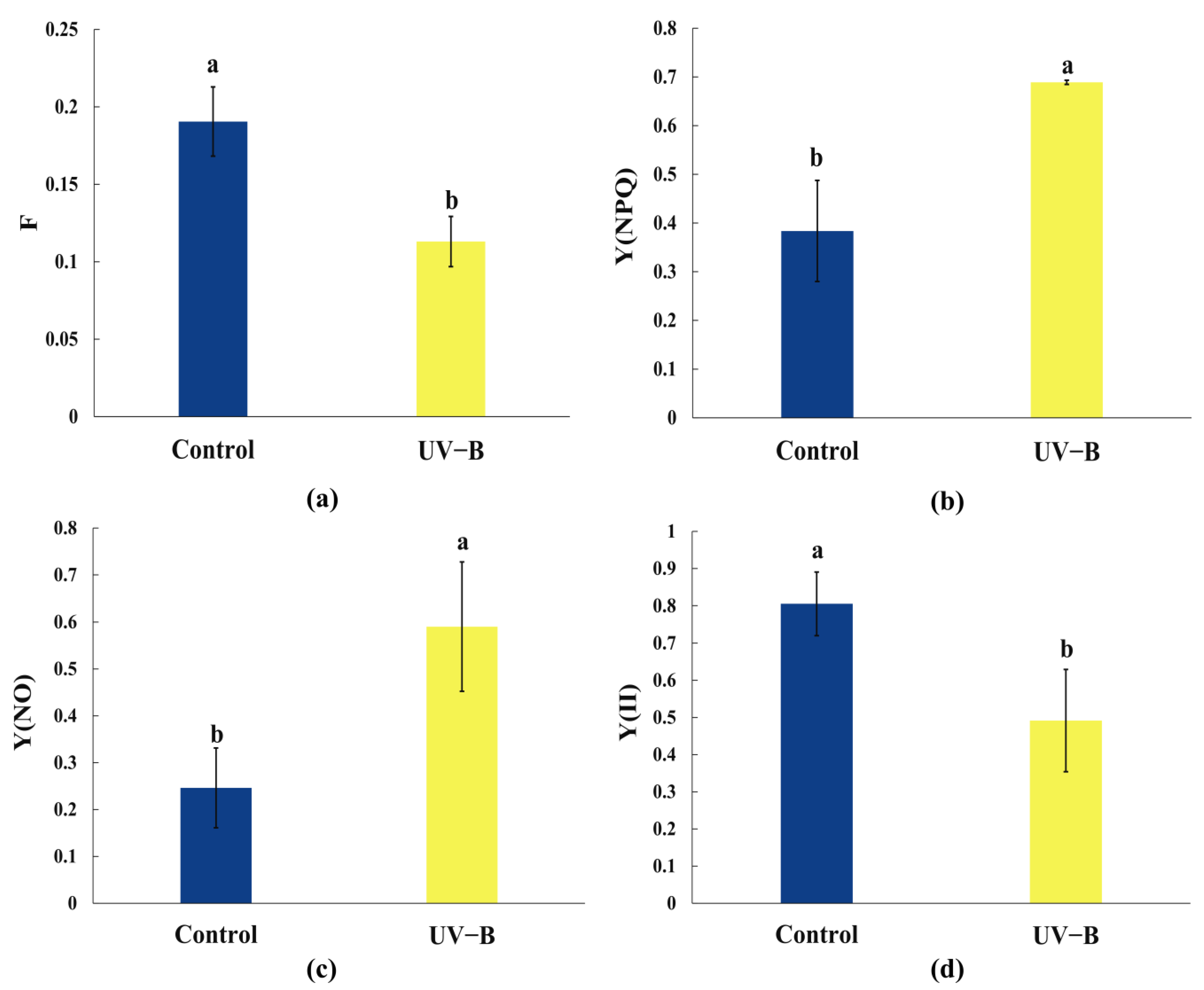 Ijms 25 13383 g001 Ijms 25 13383 g001
