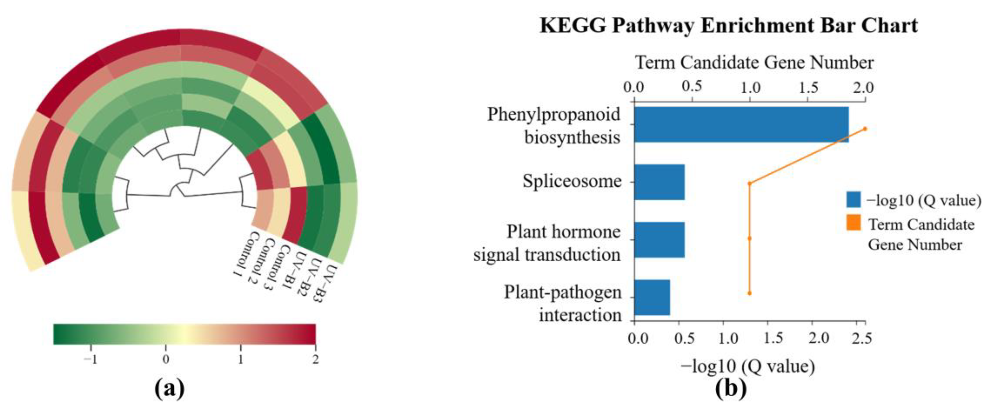 Ijms 25 13383 g003 Ijms 25 13383 g003