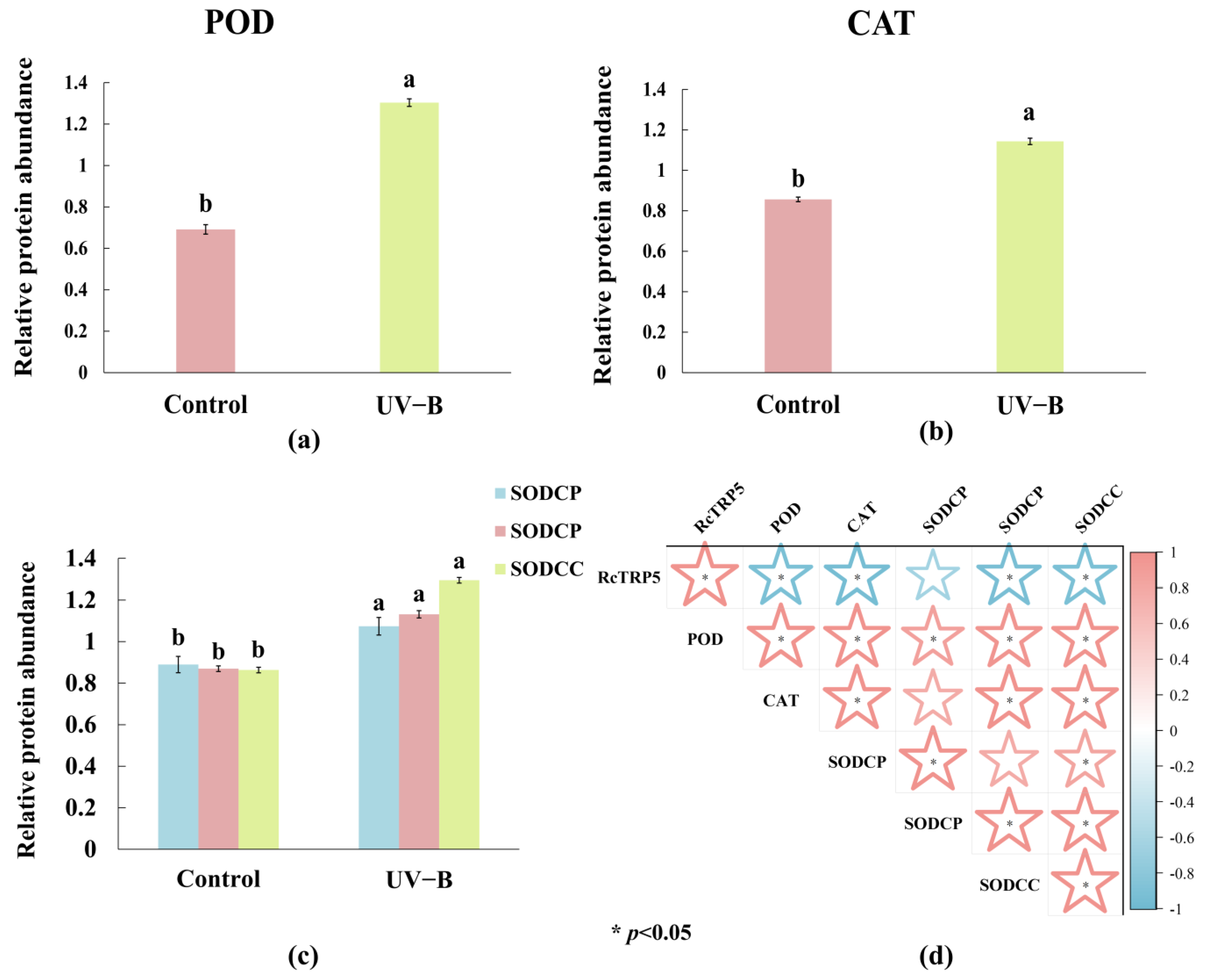 Ijms 25 13383 g004 Ijms 25 13383 g004