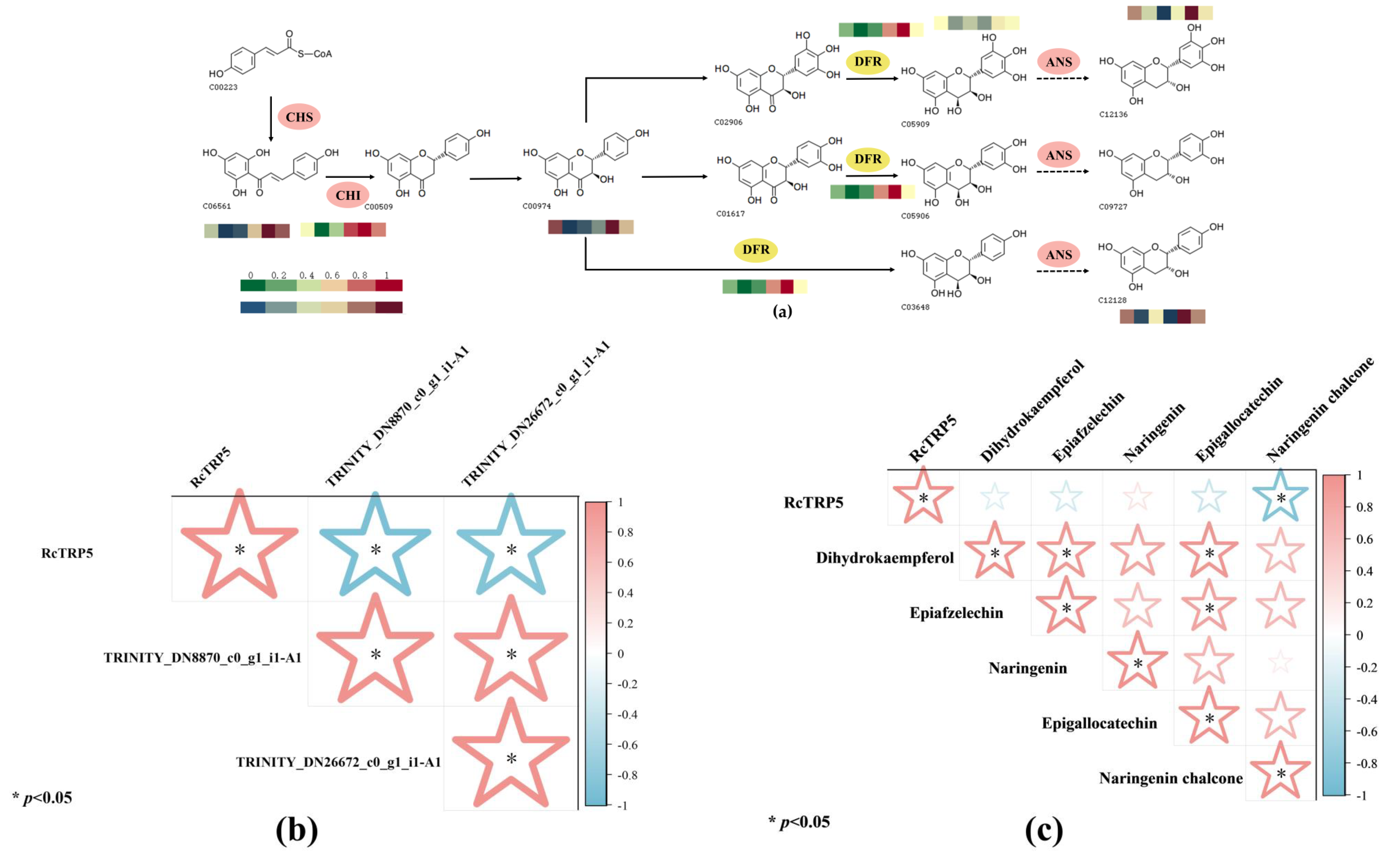 Ijms 25 13383 g005 Ijms 25 13383 g005