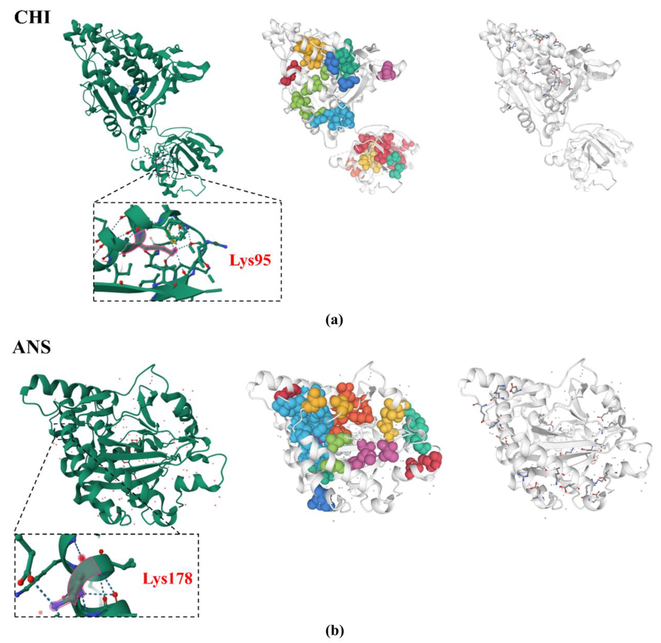 Ijms 25 13383 g006 Ijms 25 13383 g006