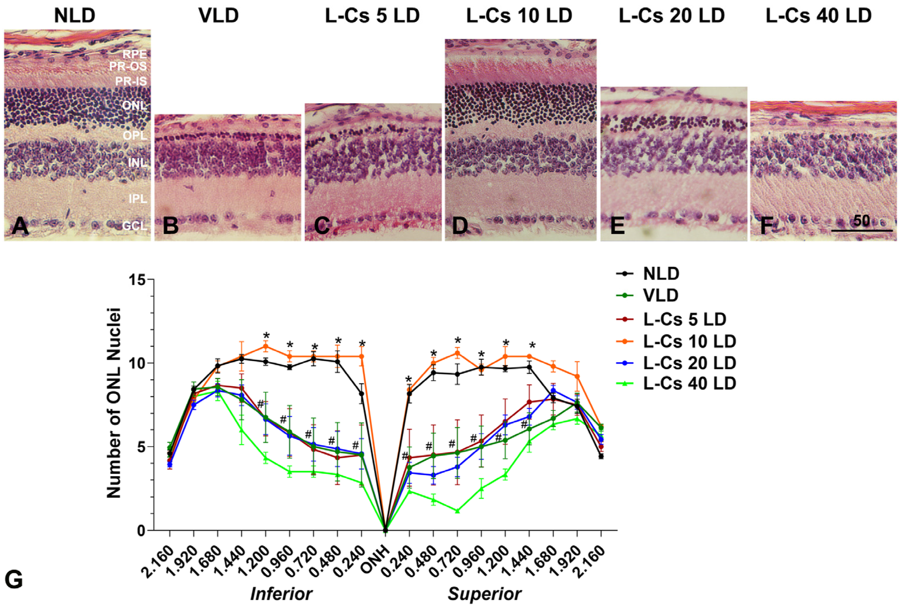 Ijms 25 13389 g003 Ijms 25 13389 g003